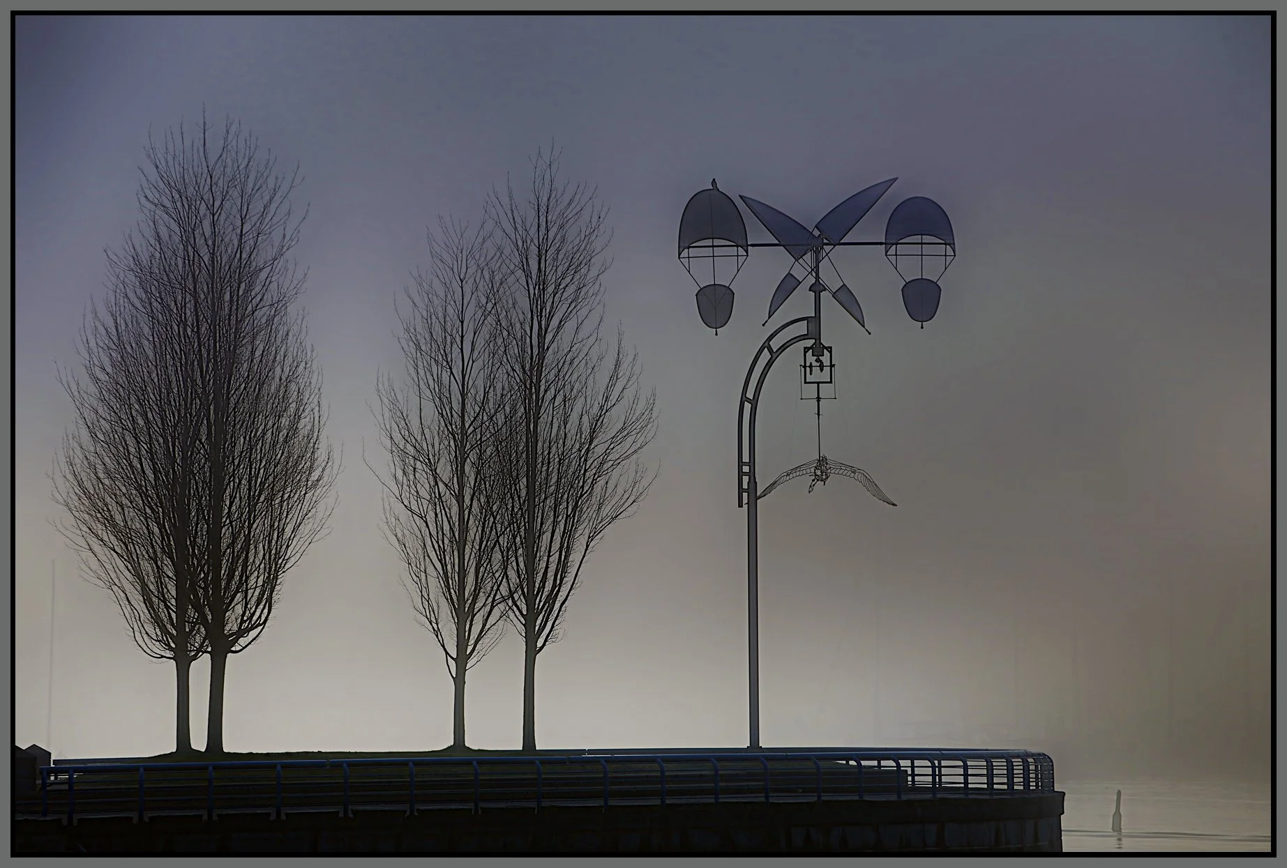 Concord Pac Trees_Jan 14_2018_HDR_C2737_1_peHrdDegnge2_4x6s.jpg