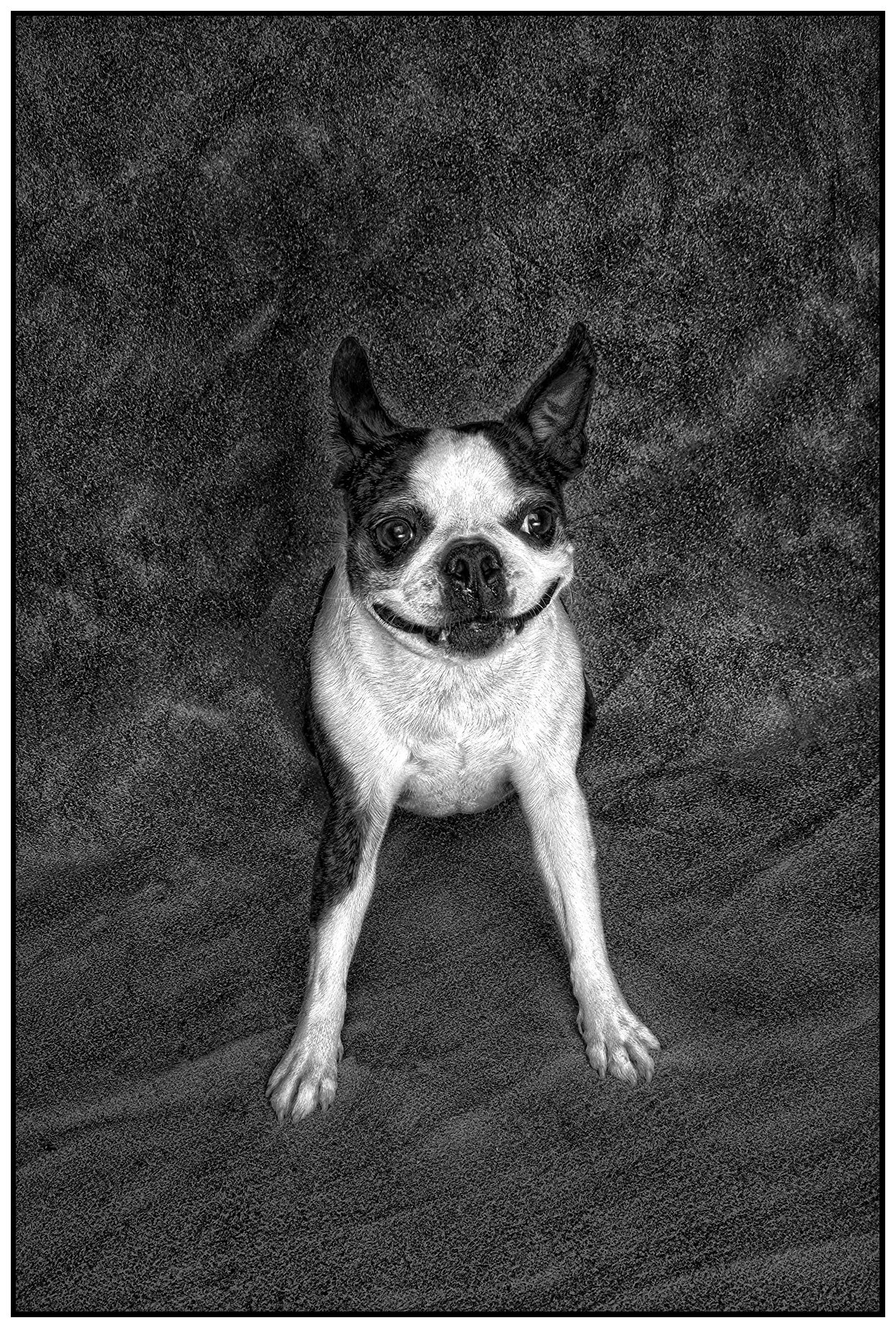 Batman as the Joker_Jun 13_2020_F5602_peLightPncl_4x6s.jpg