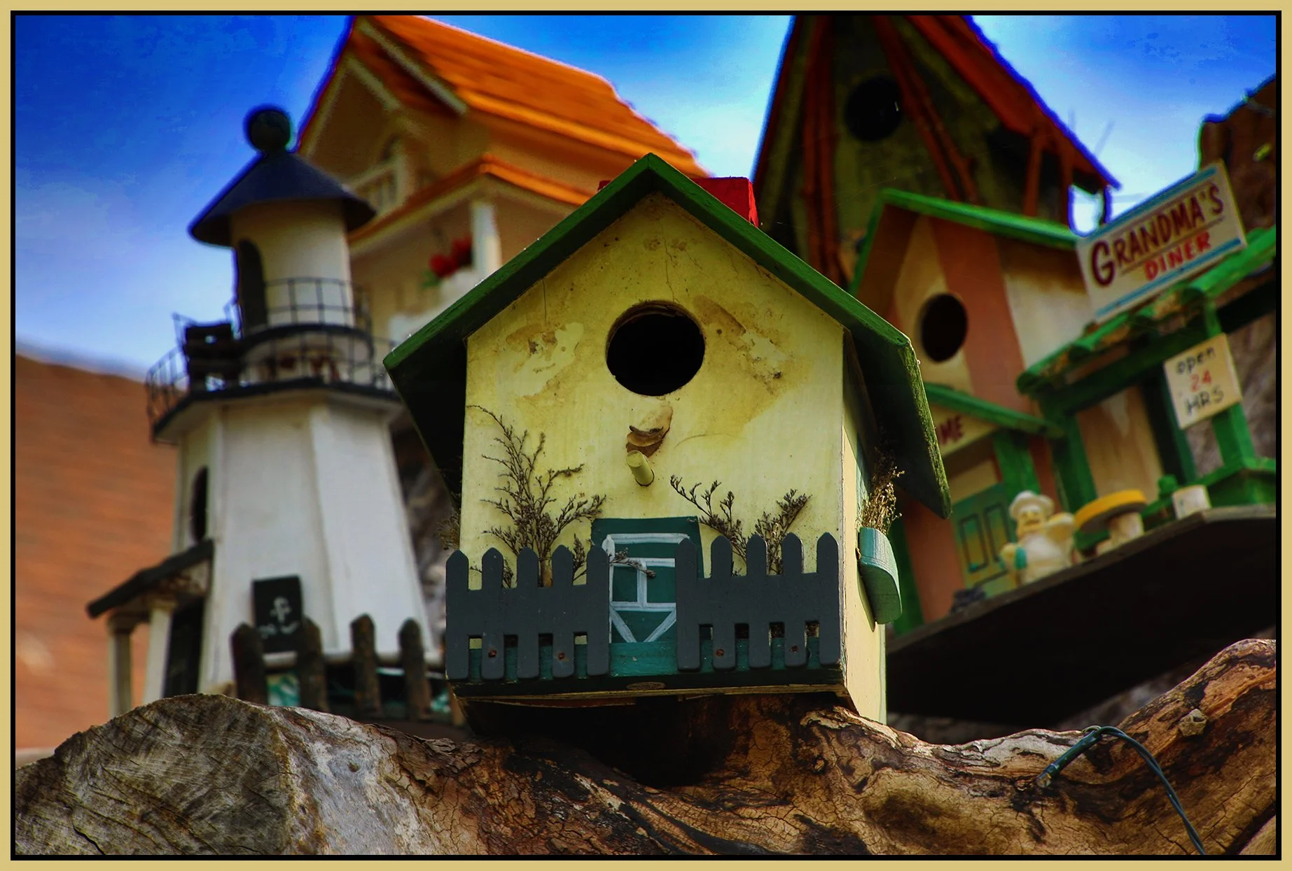 580 Heatley St Tree Houses_May 3_2024_HDR_4H7573_peClrPopBlueSky_4x6s.jpg