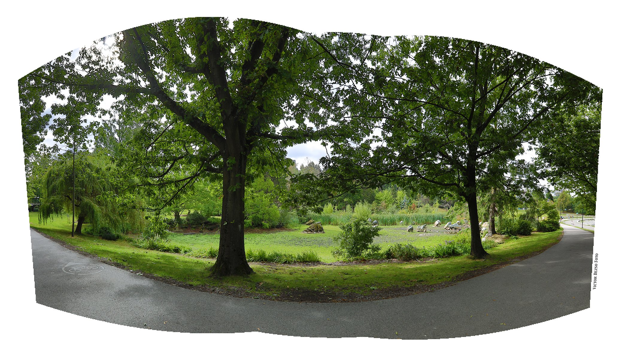 Charleson Park Pond Area_Aug 28_2024_HDR_Pan_5E9458_4x7.jpg