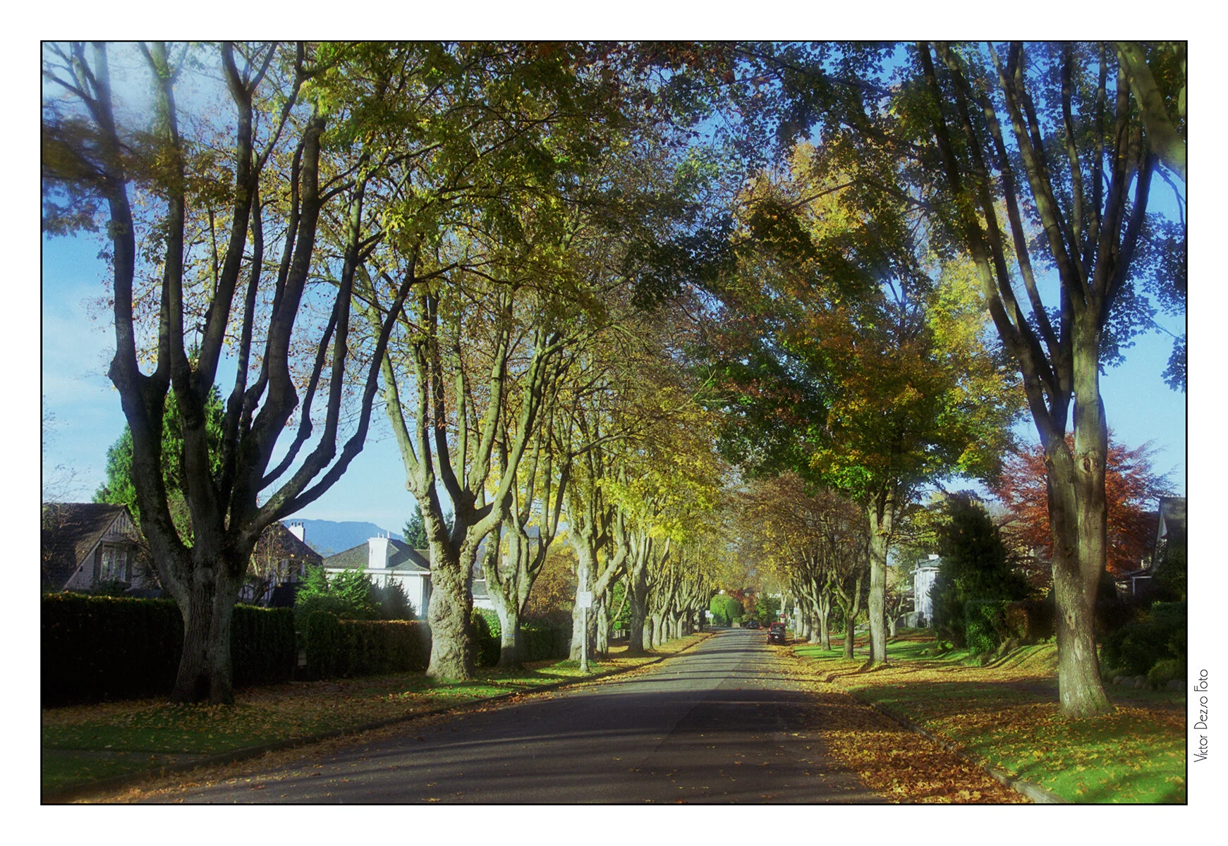 Fall Steets-_Nov 8_1997_15_4x6s.jpg