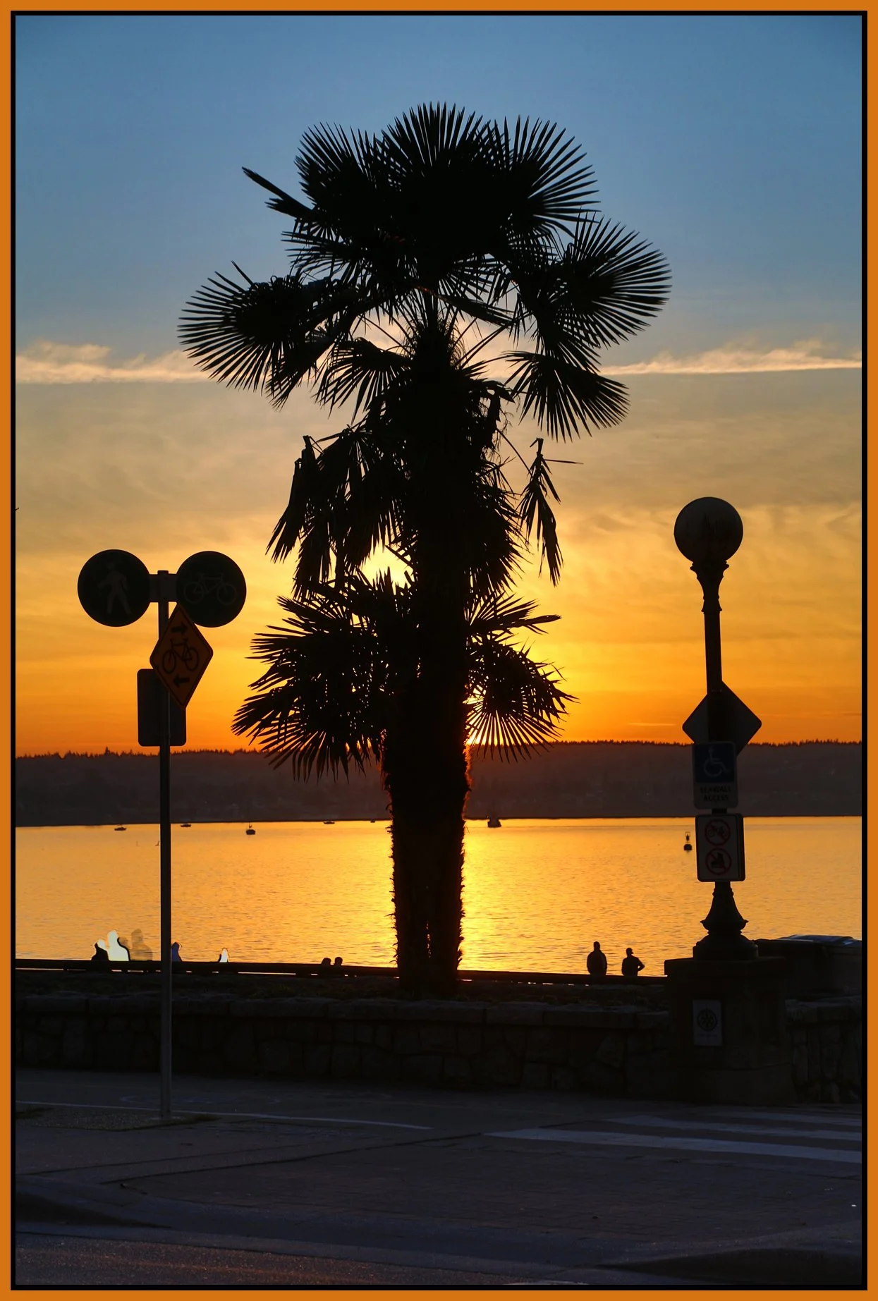 English Bay Palm_Jan 8_2016_HDR_K2822_4x6s.jpg