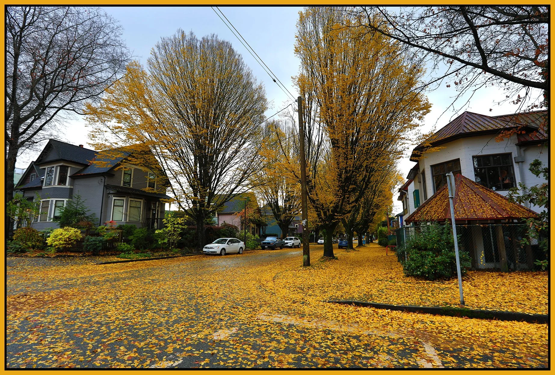 700 Princess Ave LkgS Trees_Nov 12_2023_HDR_5C9368_4x6s.jpg