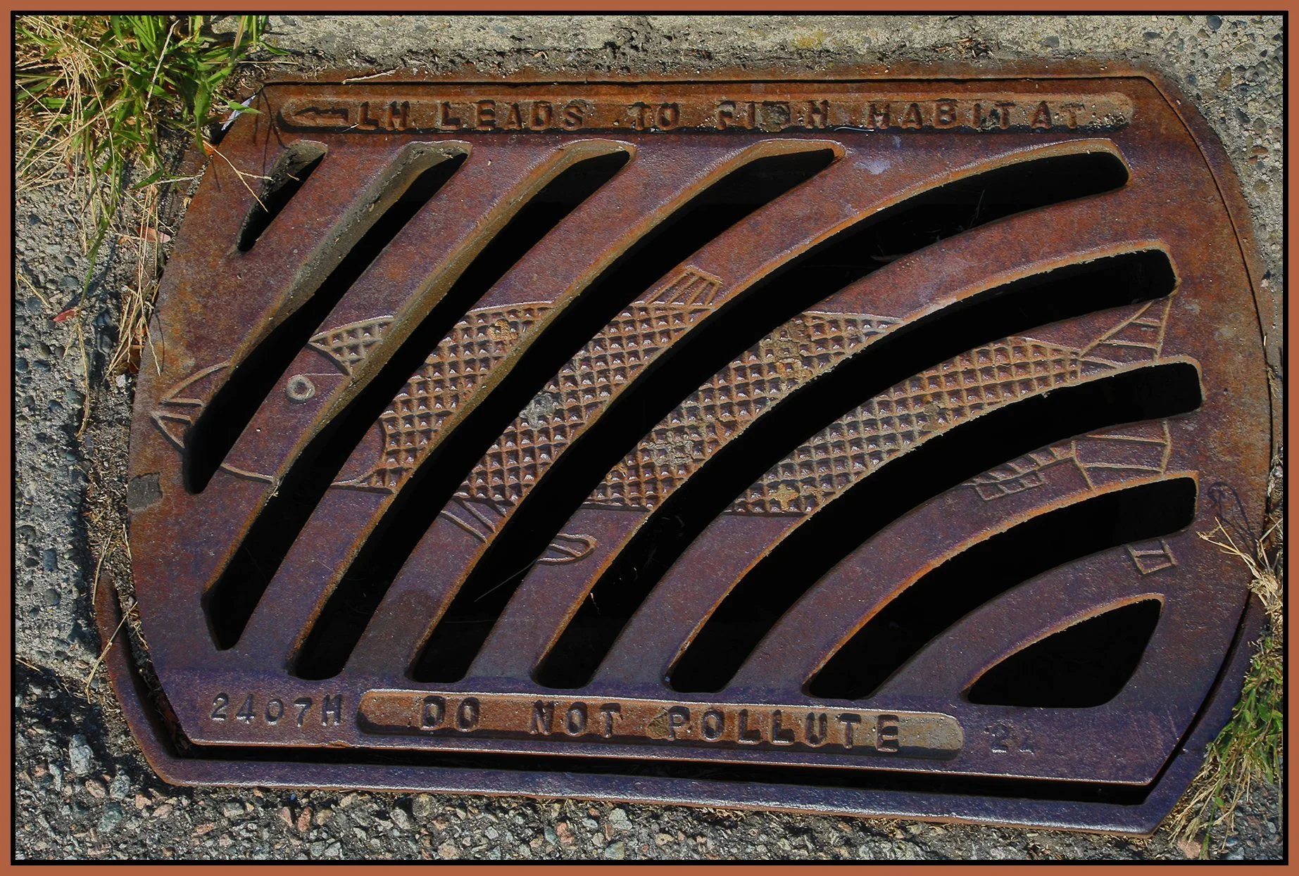 New West Sewer Grate_Sep 29_2022_HDR_4H2637_4x6s.jpg