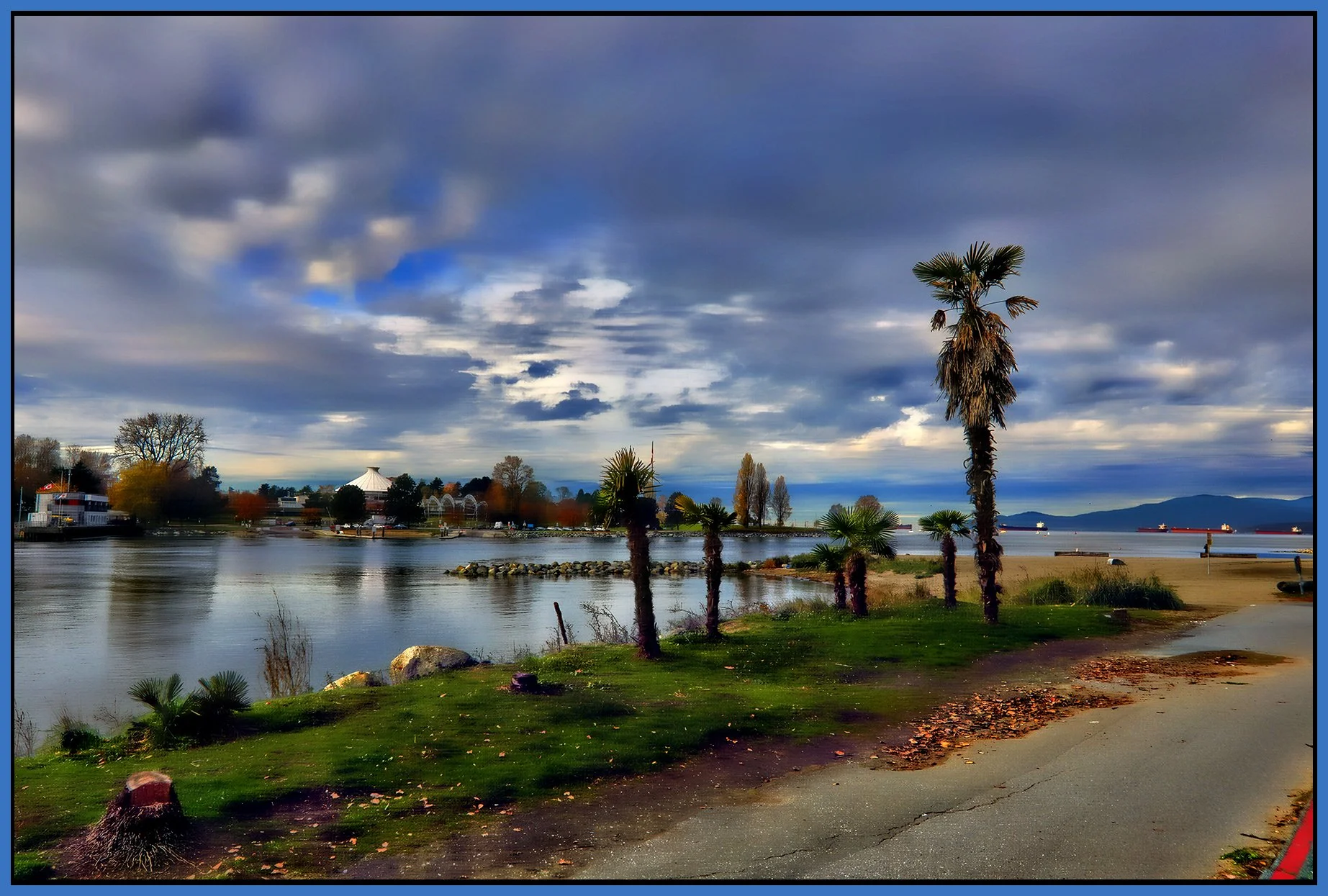 English Bay Palms_Nov 7_2024_HDR_5E4319_peHdr2013_1_4x6s.jpg
