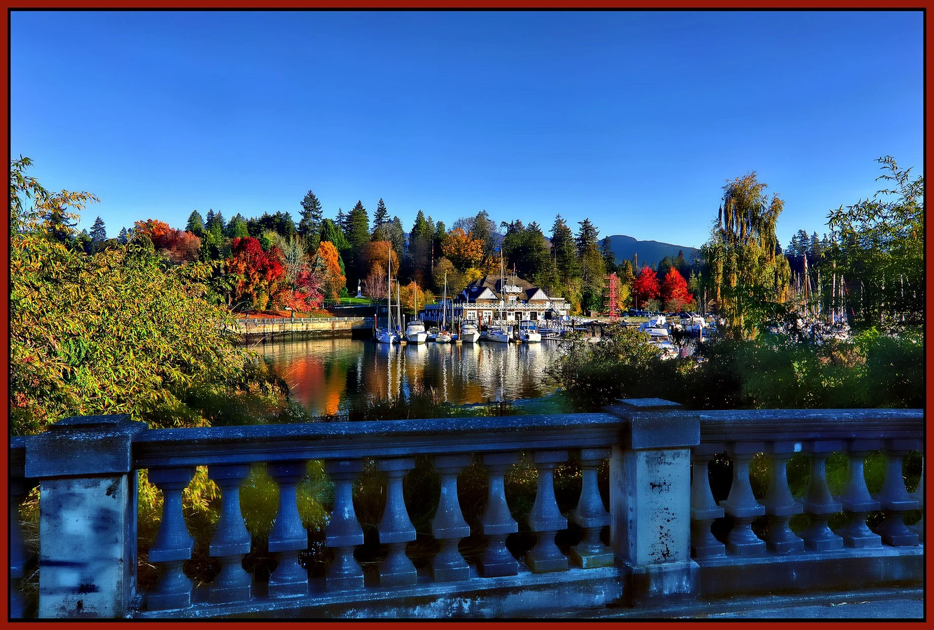 Stanley Park Rowing Club_Oct 30_2021_HDR_5A8981_peHdr2013_1_4x6s.jpg