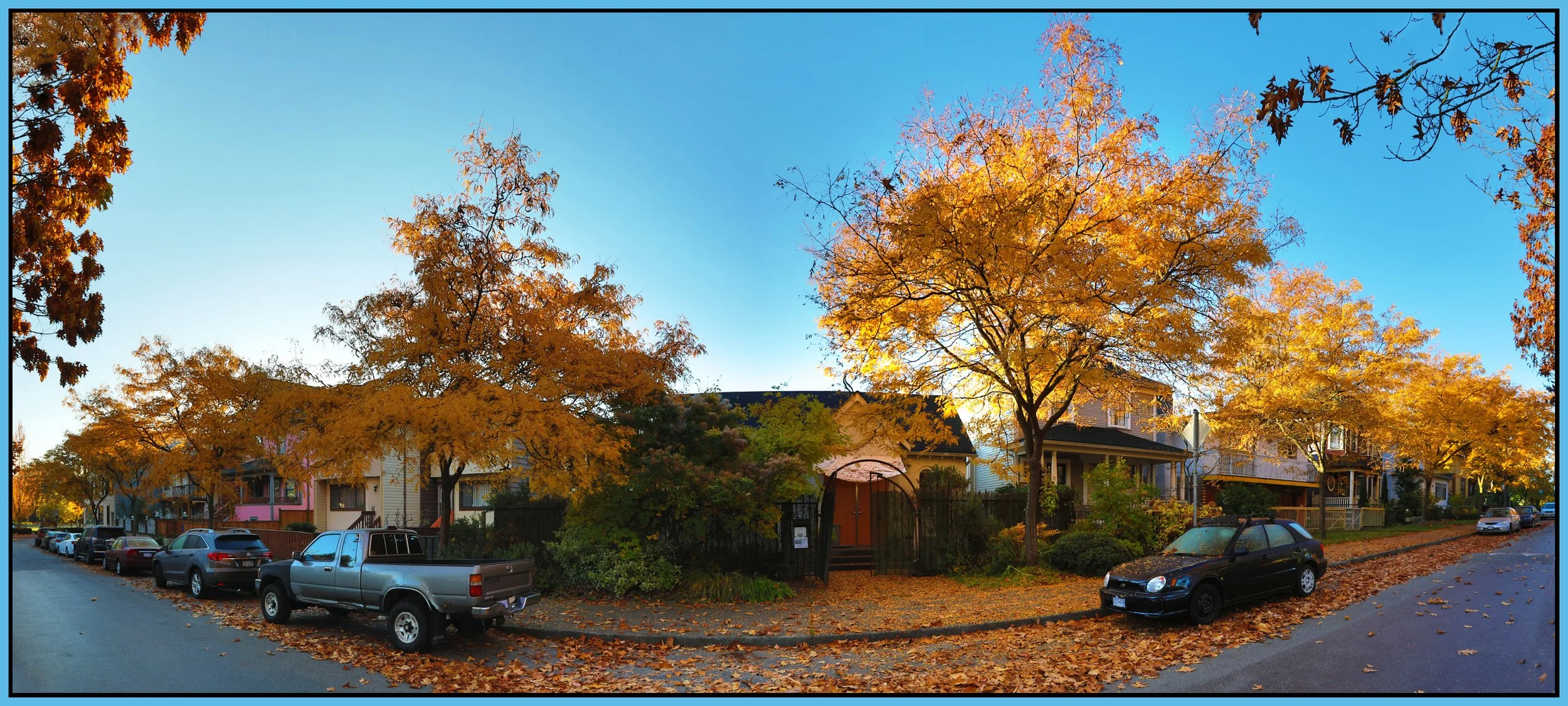 636 Keefer Trees_Oct 29_2017_HDR_Pan_B5184_1_4x9s.jpg