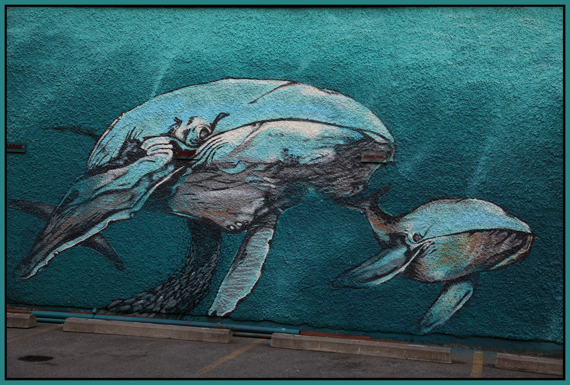 6 th Ave Murals_Aug 30_2009_HDR_8556_4x6s.jpg