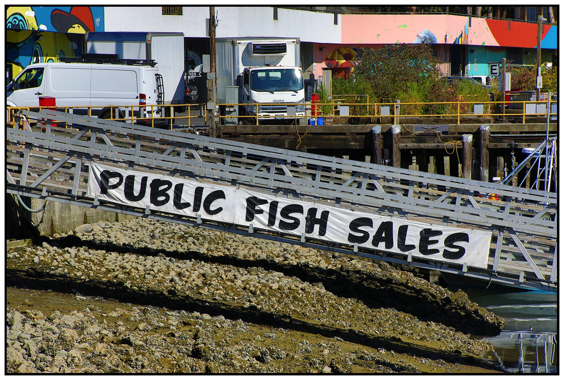 Public Fish Sales Sign_Aug 4_2021_HDR_4G1929_4x6s.jpg