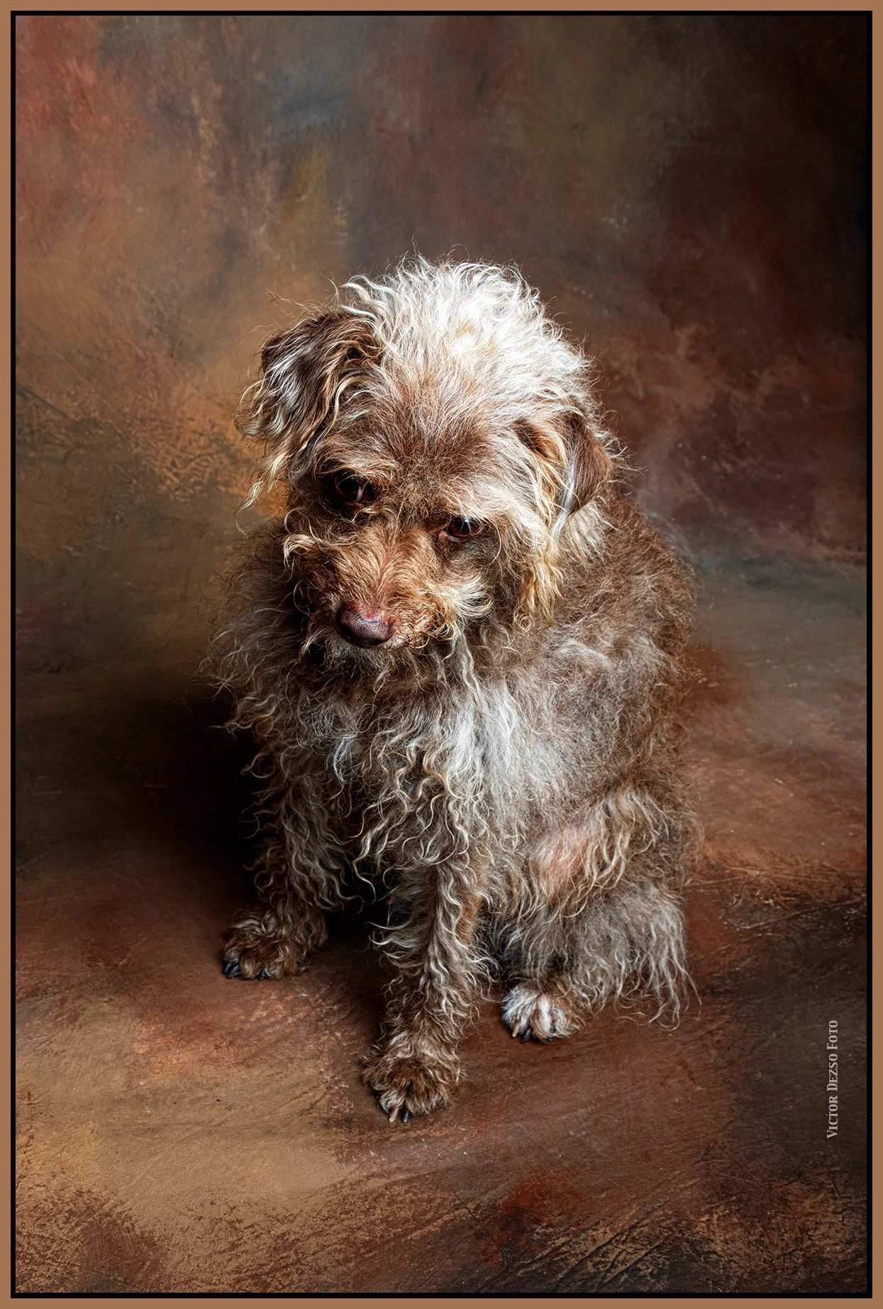 Frances-Jun 11_2023_4H7708_pehdr_4x6s.jpg