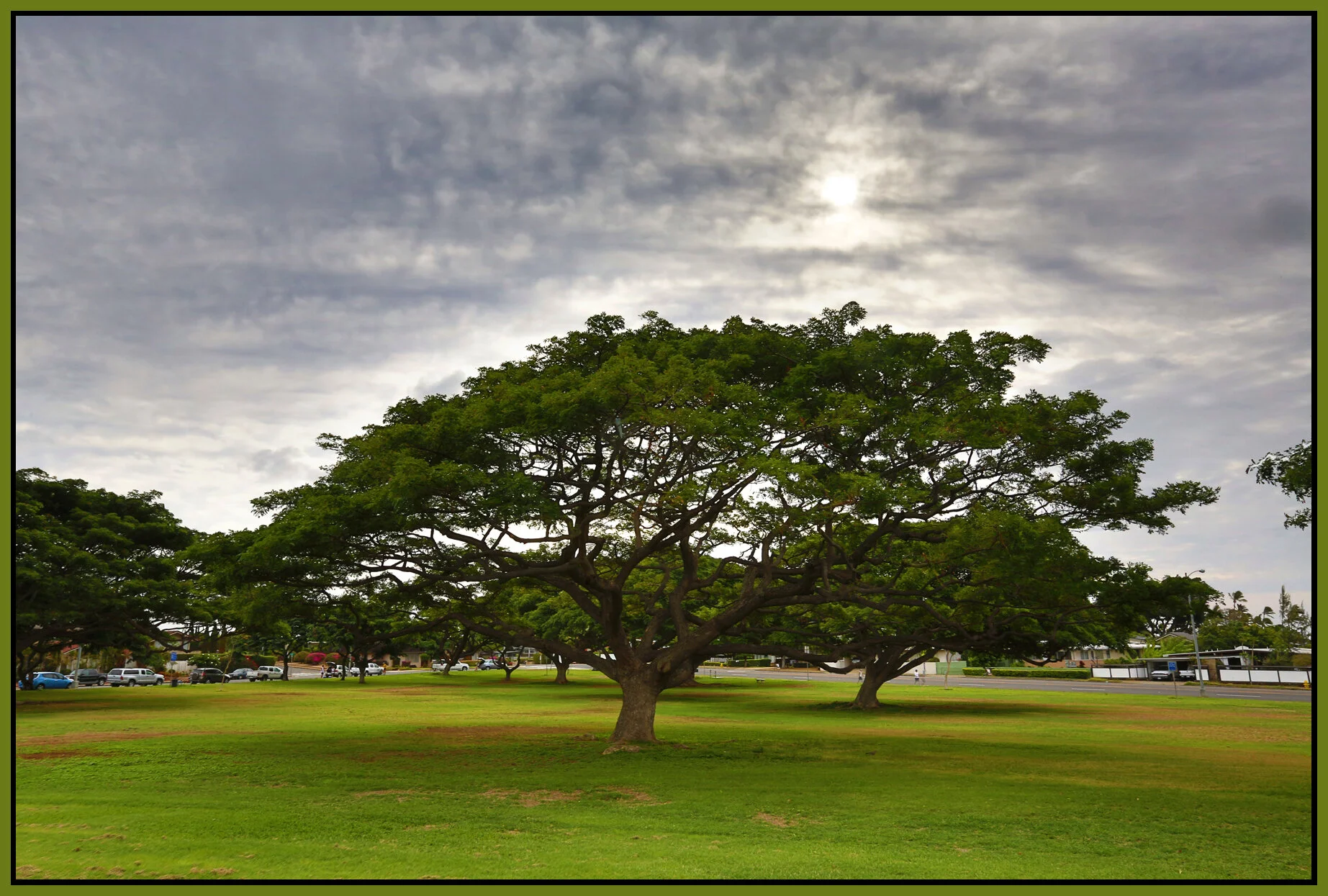 Hawaii_Nov 18_2012_HDR_C2046_4x6s.jpg