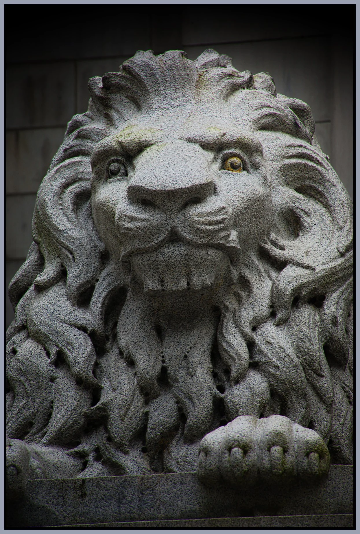 Art Gallery Lion_Jan 24_2022_HDR_5A7756_peShrpfctBr_4x6s.jpg