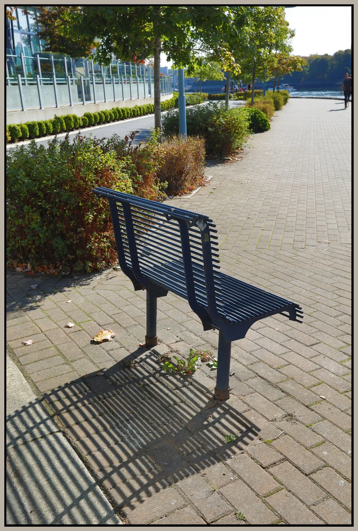 Bench in Concord Pac_Oct 4_2017_HDR_B8770_4x6s.jpg
