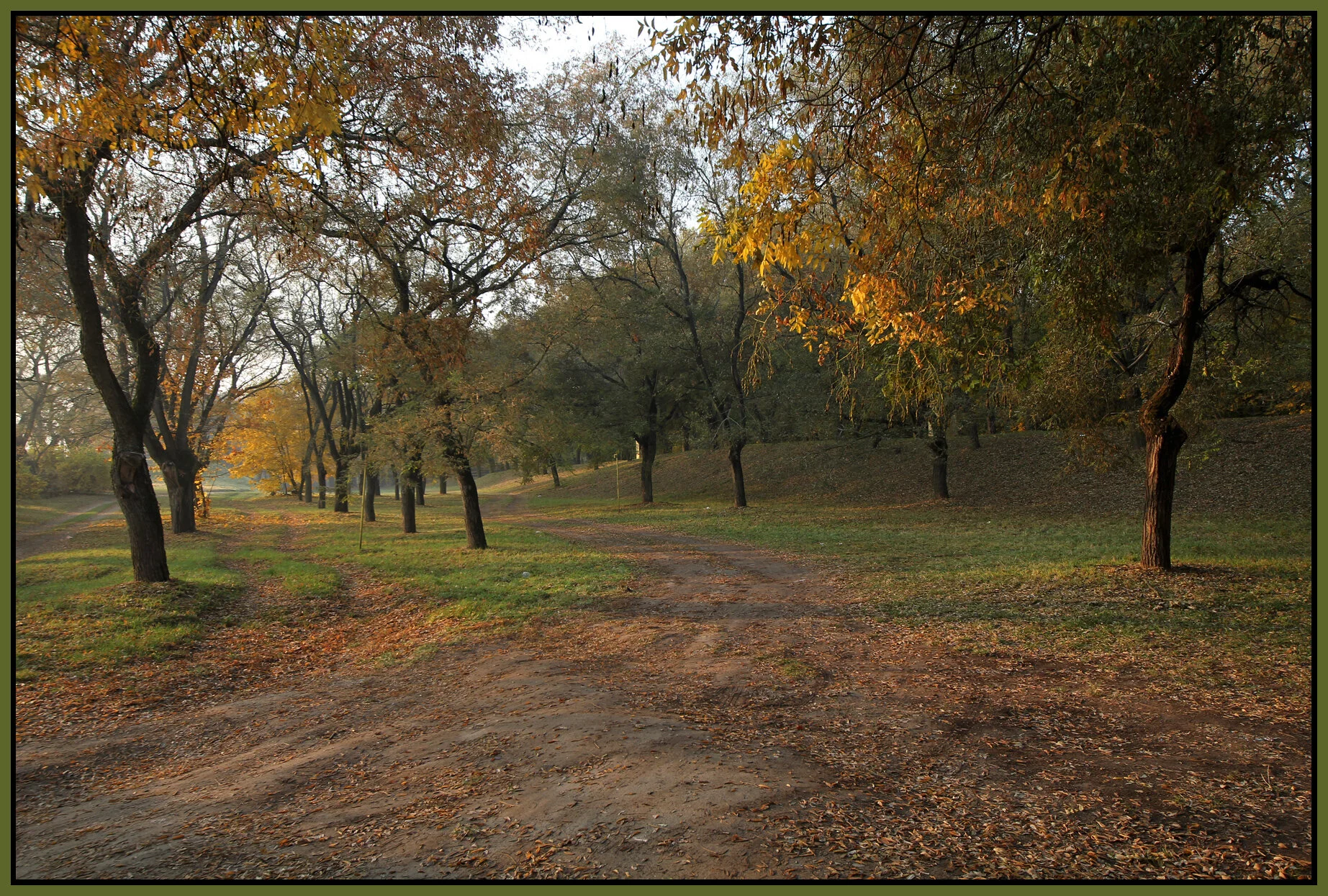 Vác_Nov 1_2011_9068_4x6s.jpg