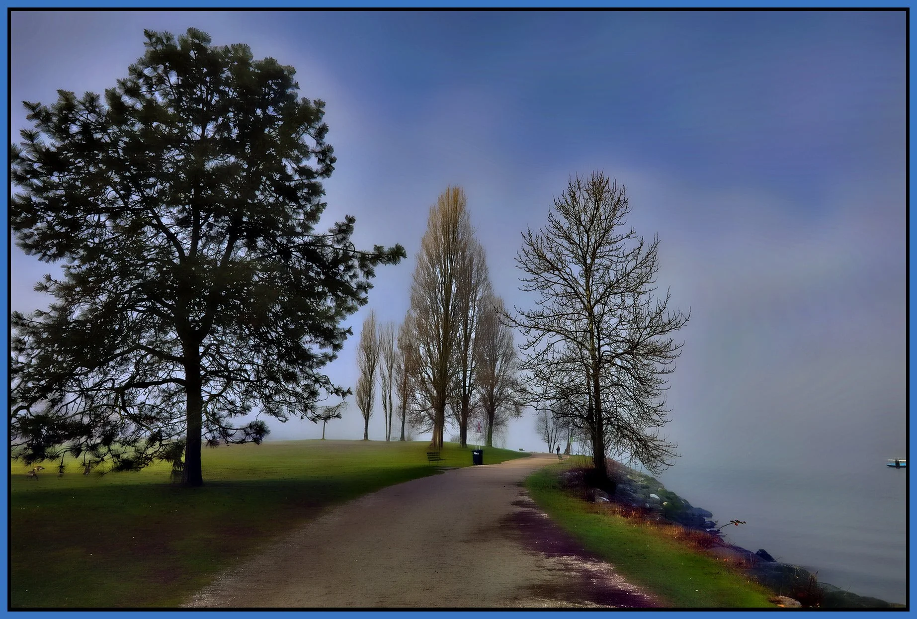 Vanier Park Trees in Fog_Jan 21_2026_HDR_4K7446_peHdr2013_1_4x6s.jpg