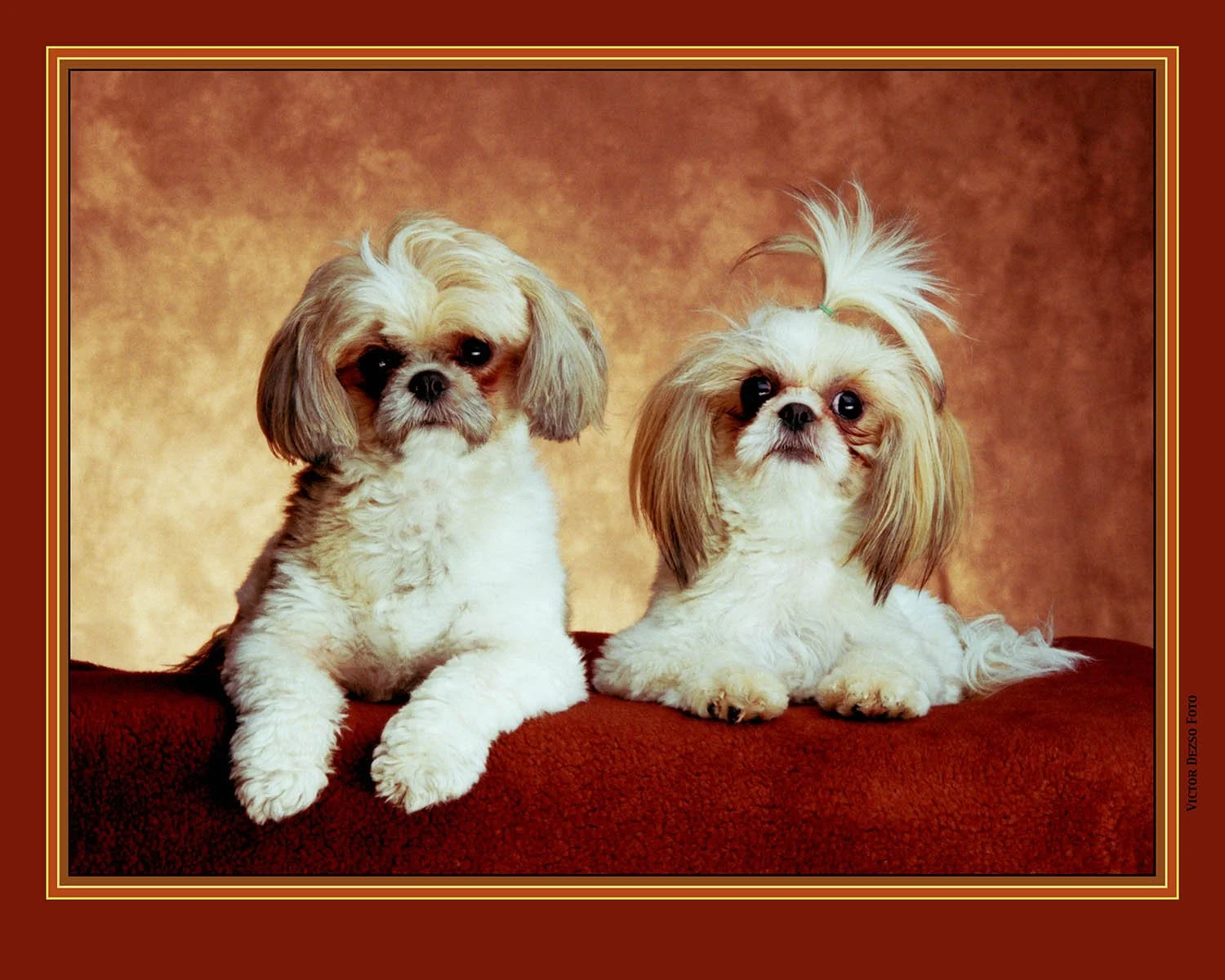 Bart & Maggie_35_4x5.jpg