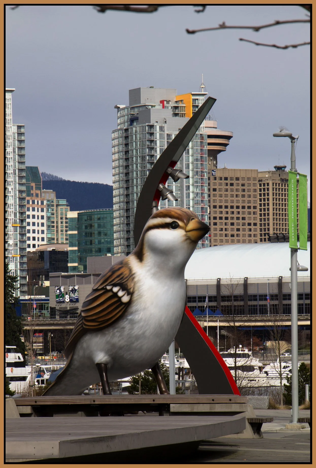 Olympic Village Bird_Feb 23_2011_1897_4x6s.jpg