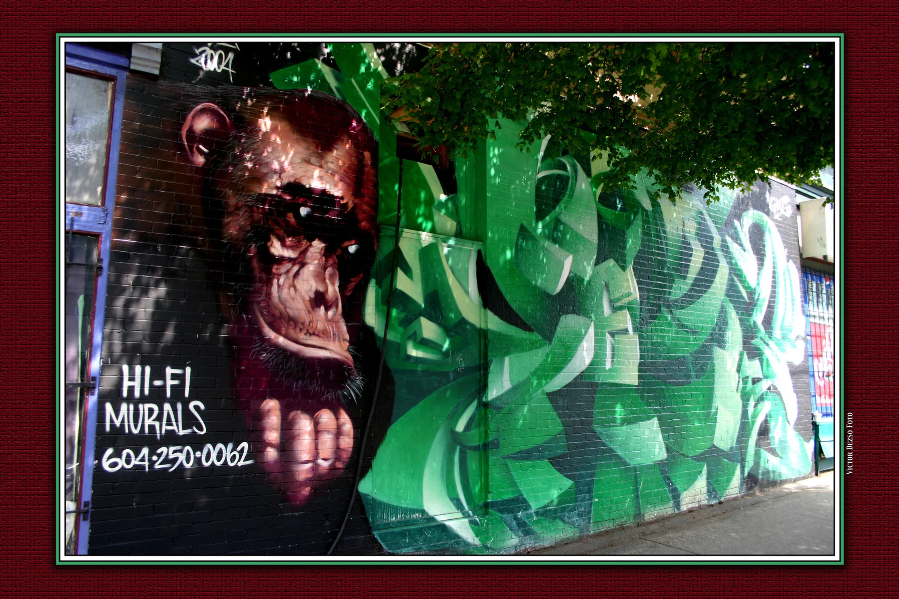 Monkey Mural_2207_1_4x6.jpg