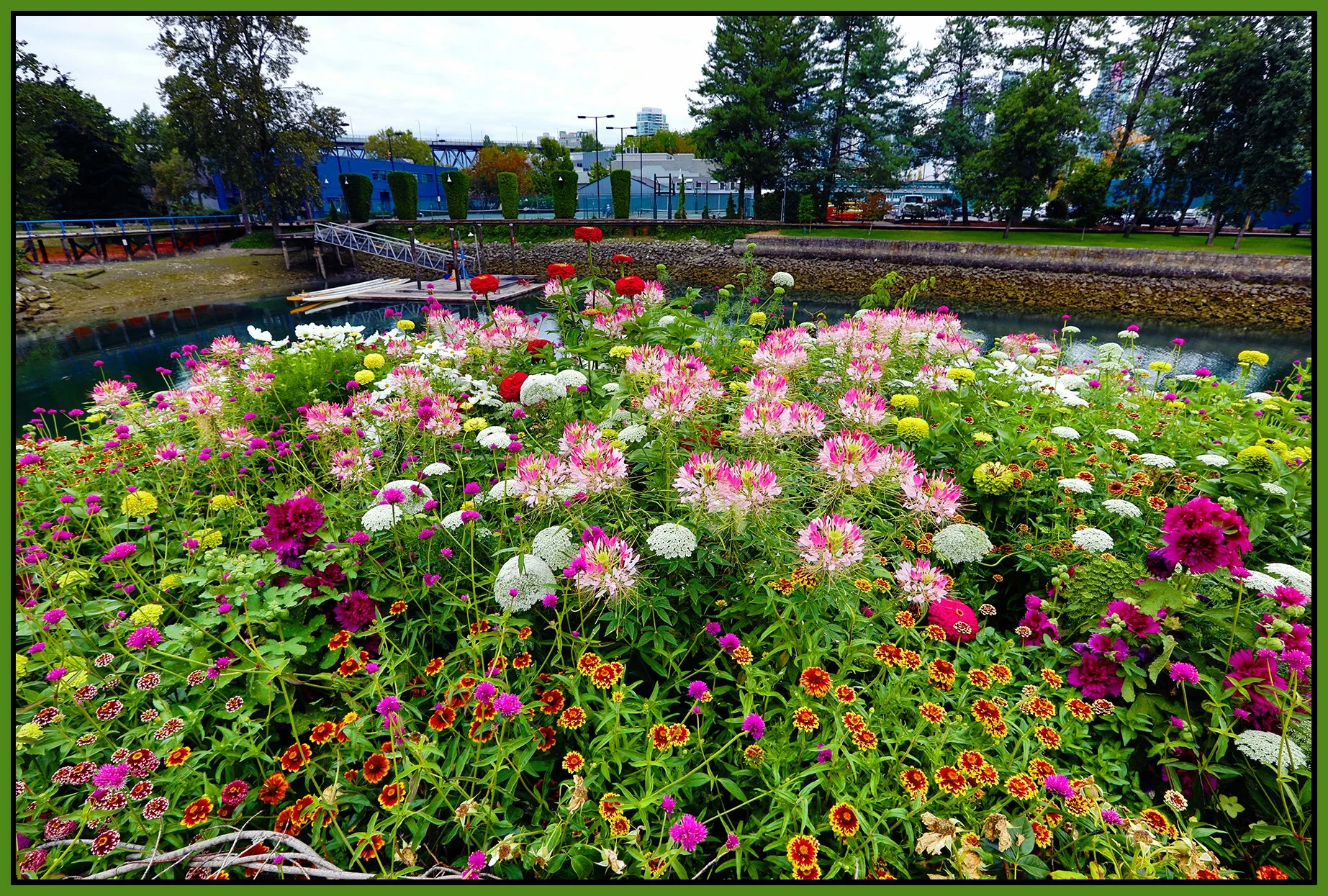 Flowers_Aug 14_2024_HDR_5E8210_pePop_4x6s.jpg