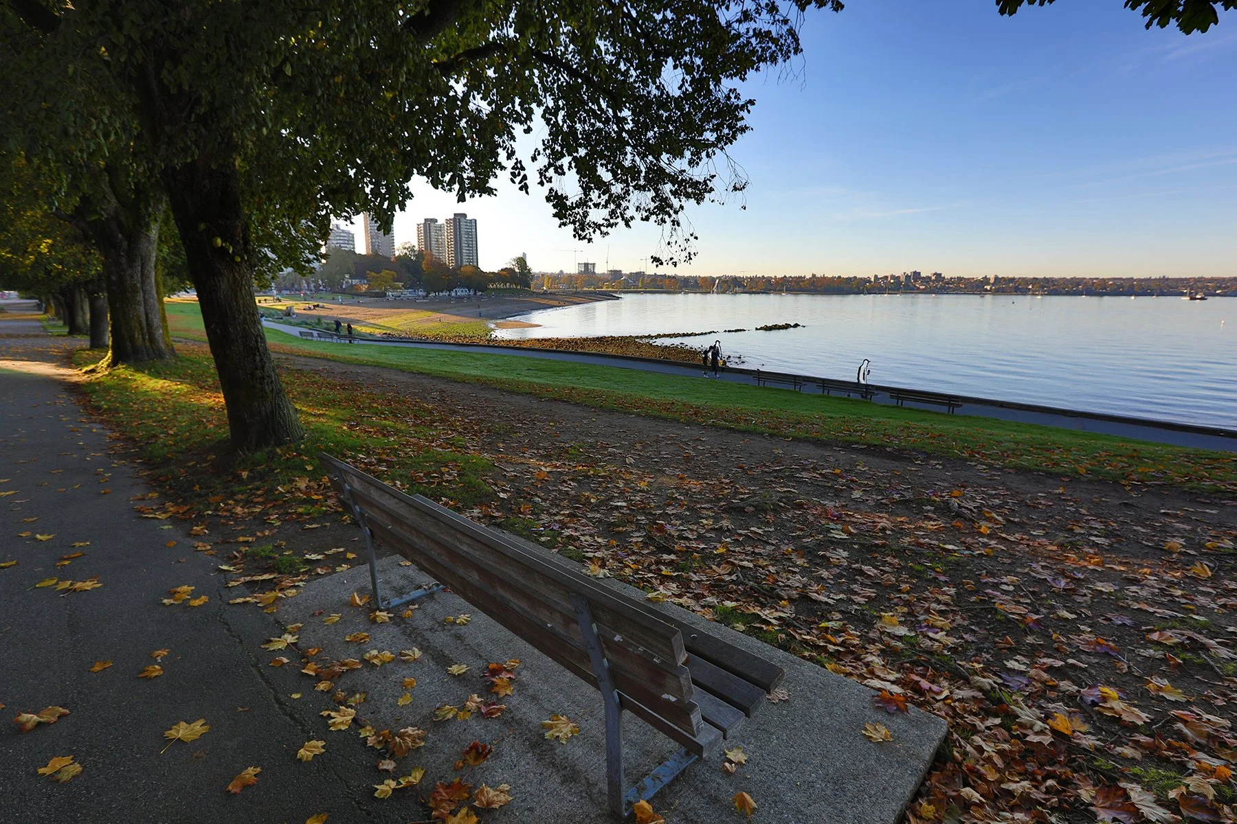 English Bay Bench LkgSE_Oct 12_2024_HDR_5E2582_4x6.jpg