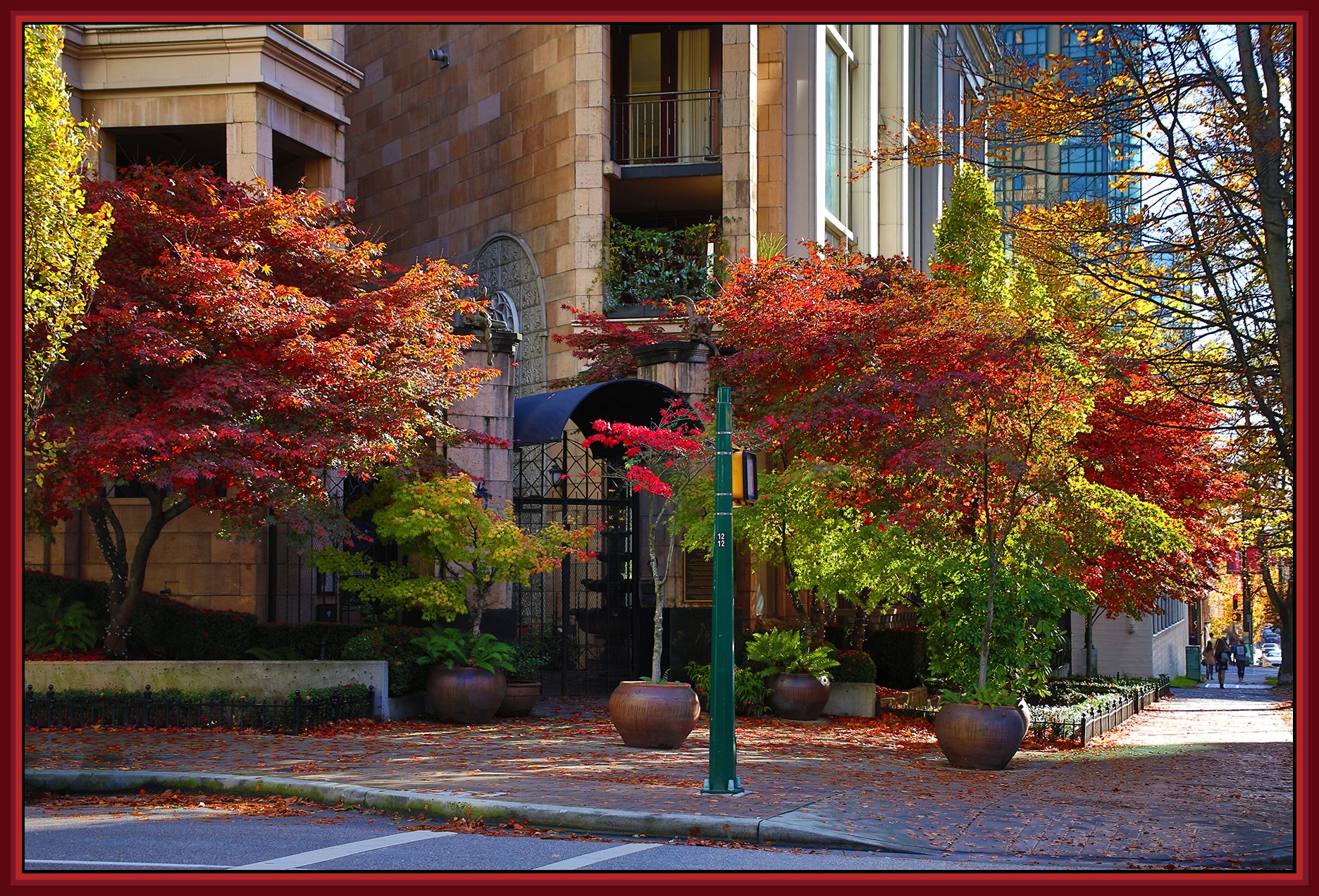 499 Drake_Fall Leaves_Nov 4_2018_HDR_A0812_4x6s.jpg
