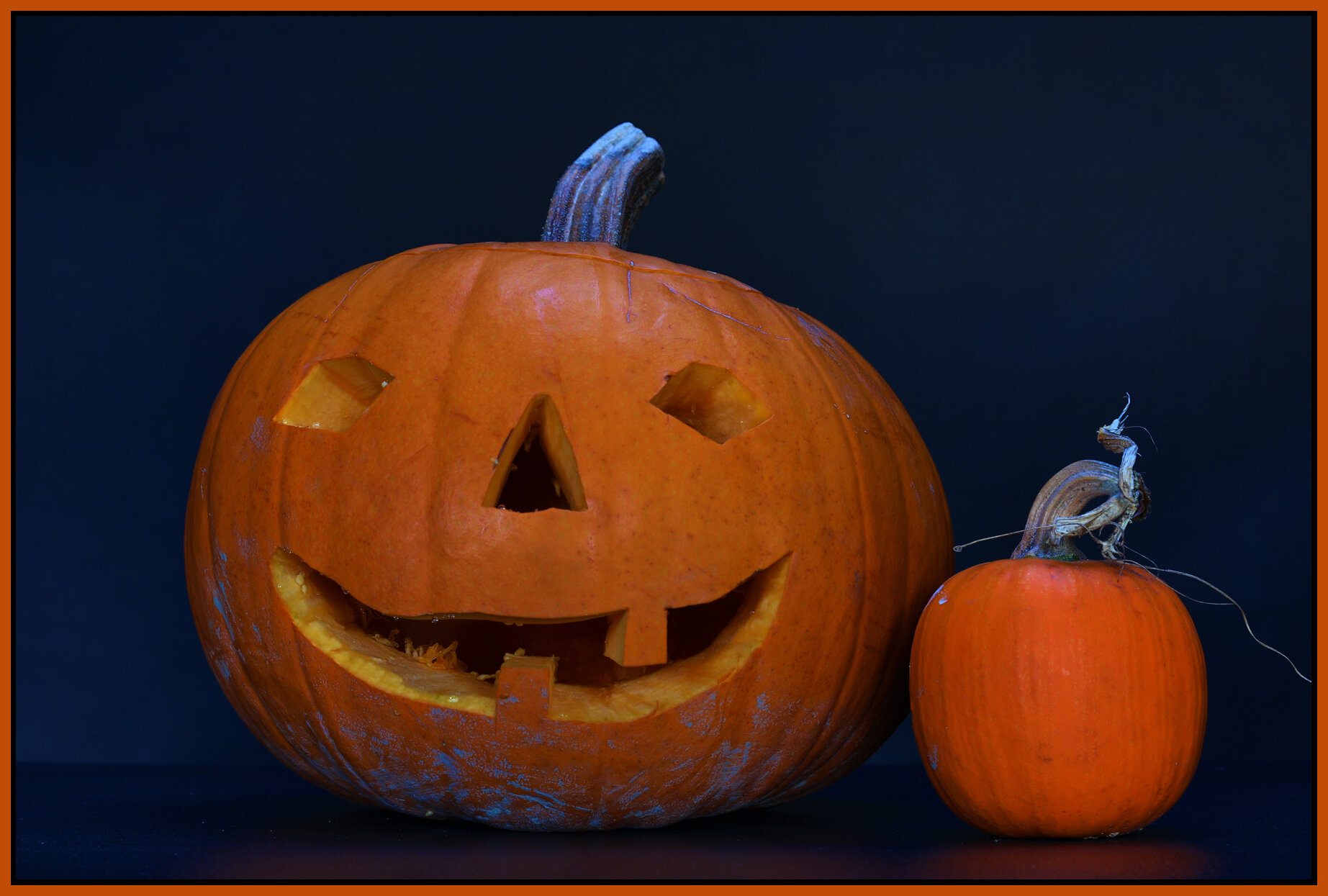 Pumpkins_Oct 27_2013_HDR_D1706_4x6s.jpg