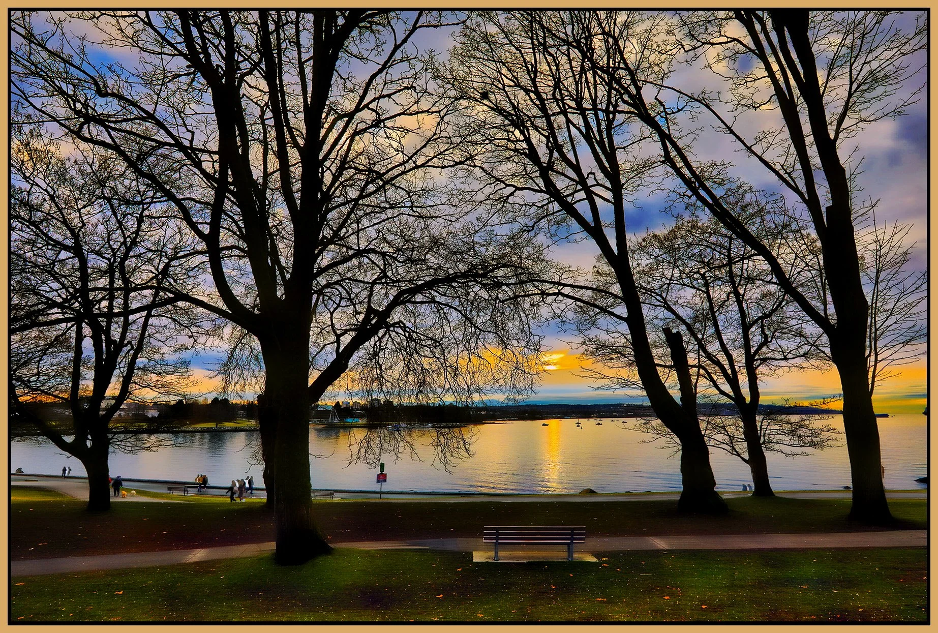 English Bay Trees_Feb 9_2023_HDR_5D3626_peHdr2013_EWGT_4x6s.jpg