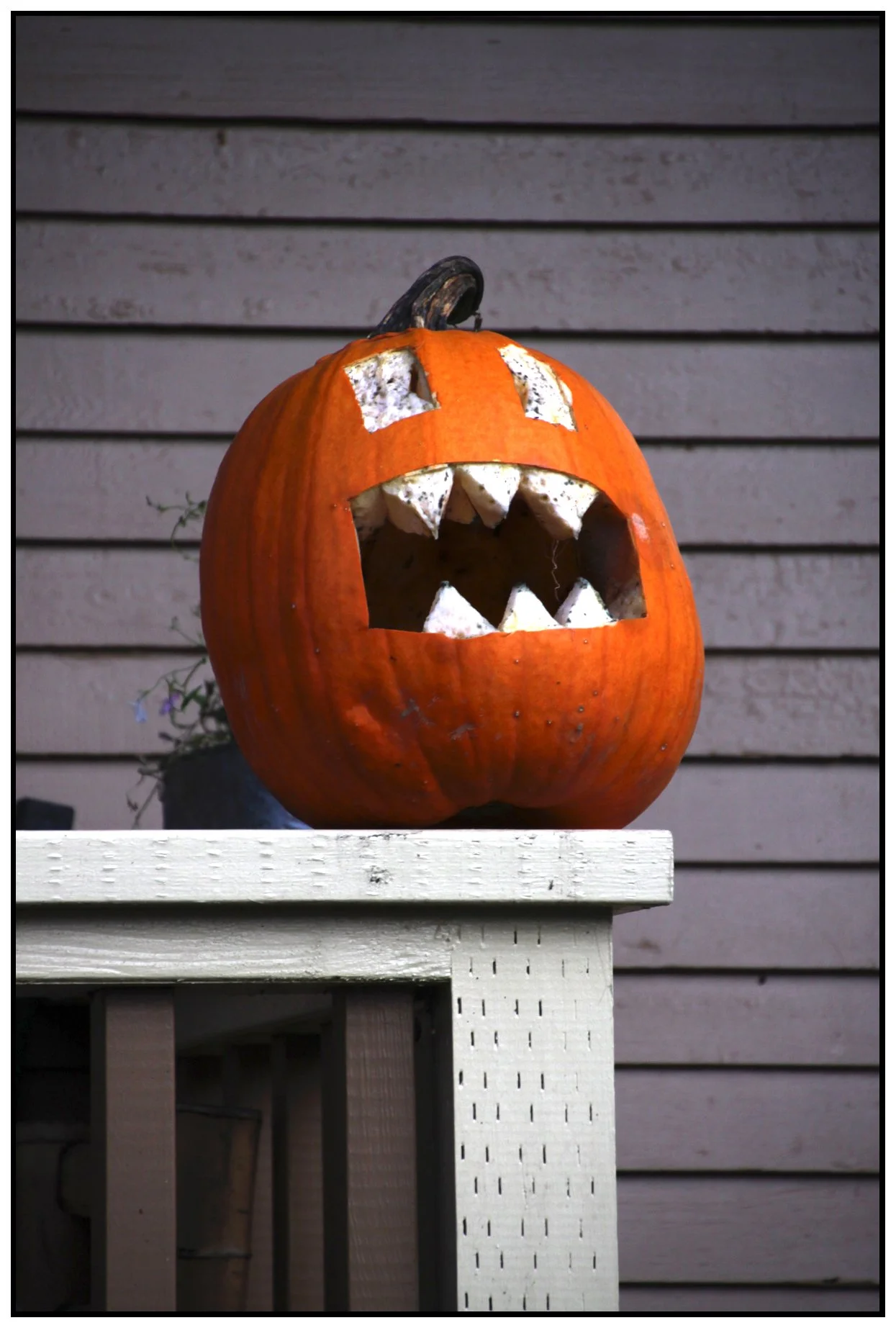 Pumpkin Head_Nov 14_2011_6791_4x6s.jpg
