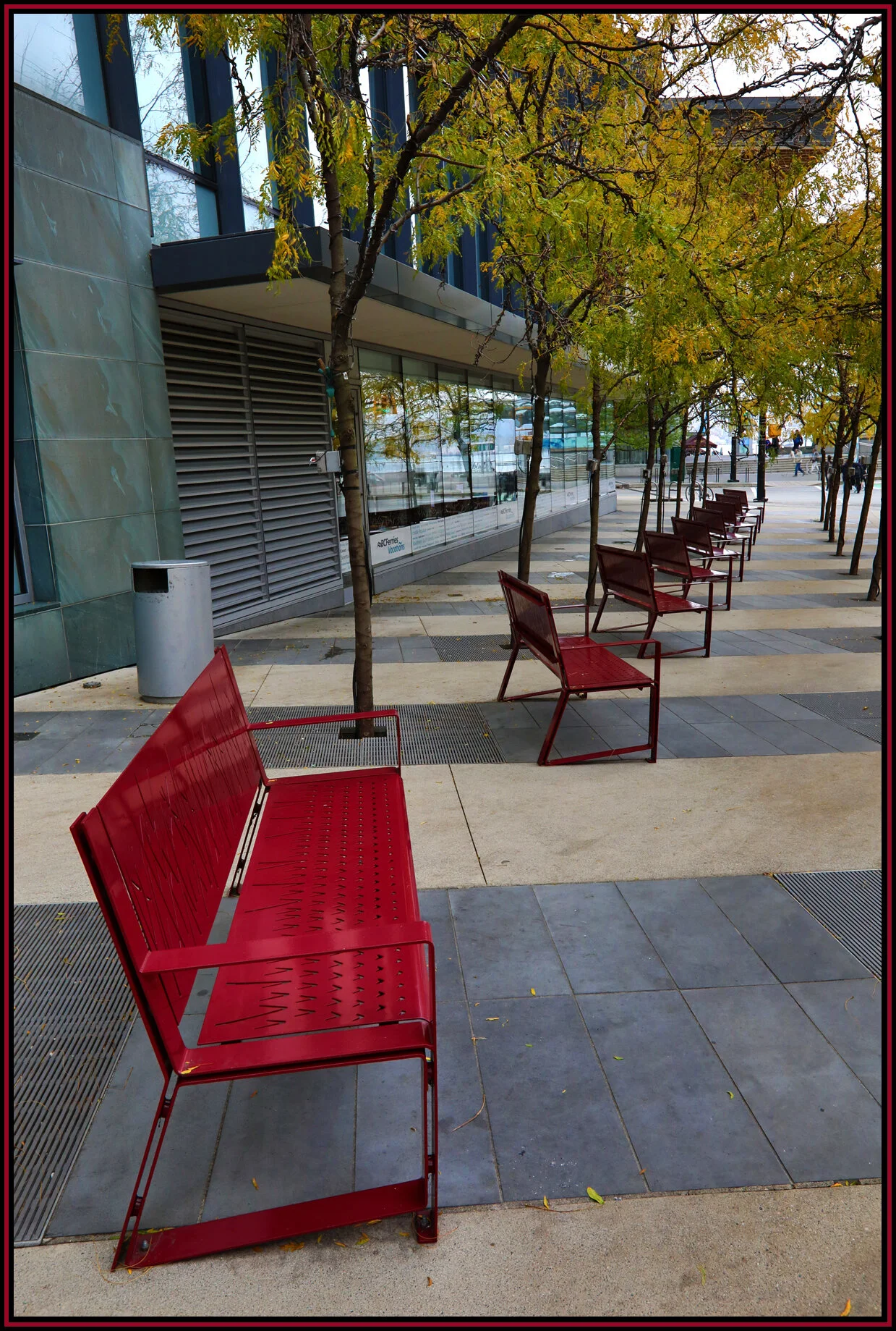 Benches at Pac Rim_Oct 23_2017_HDR_B2943_4x6s.jpg