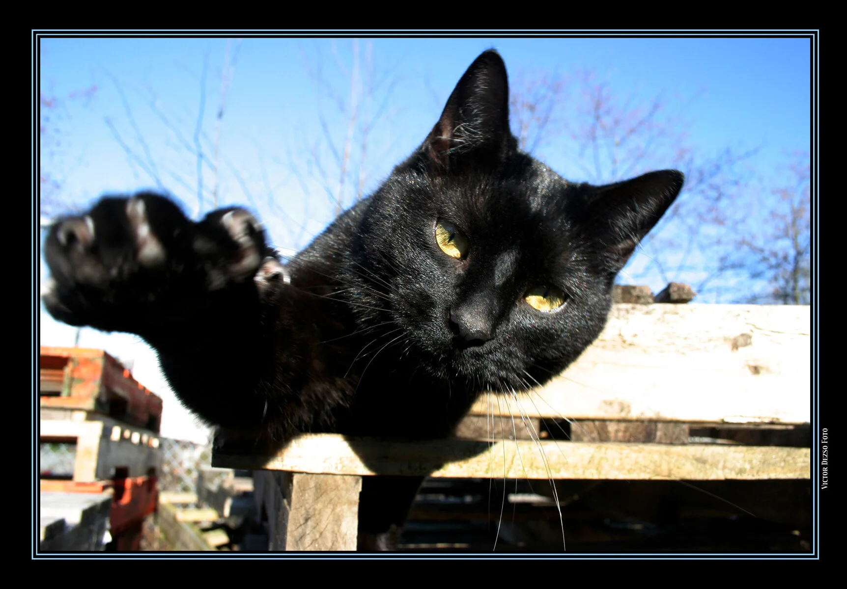 CC_March 2006 0799_1_4x6s.jpg