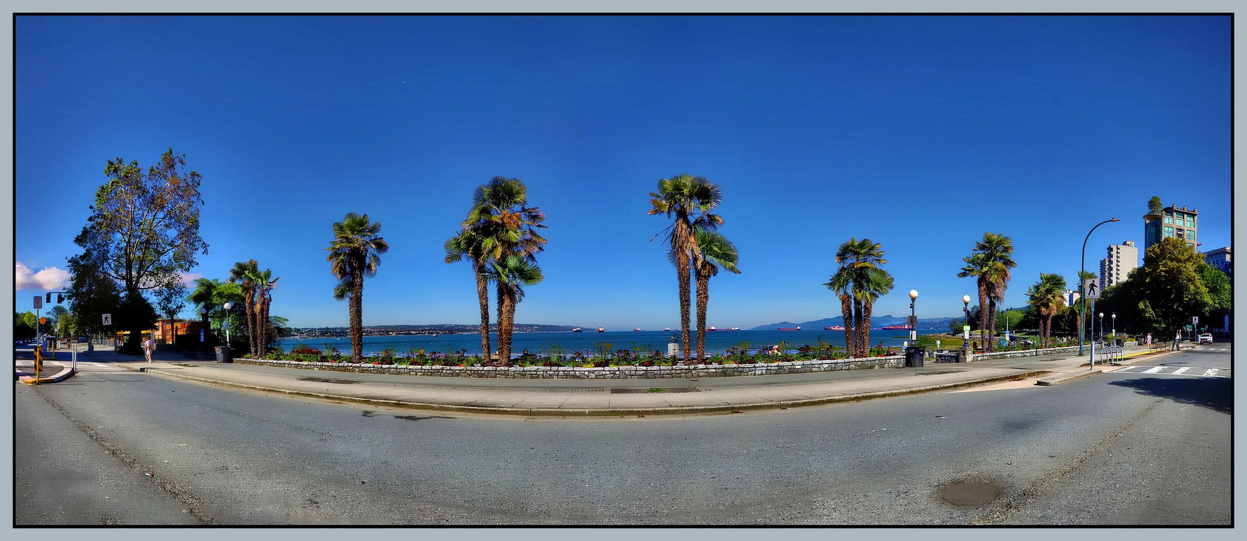 English Bay Palms_Jul 4_2024_HDR_Pan_5E5992_1_peHdr2013_4x9s.jpg
