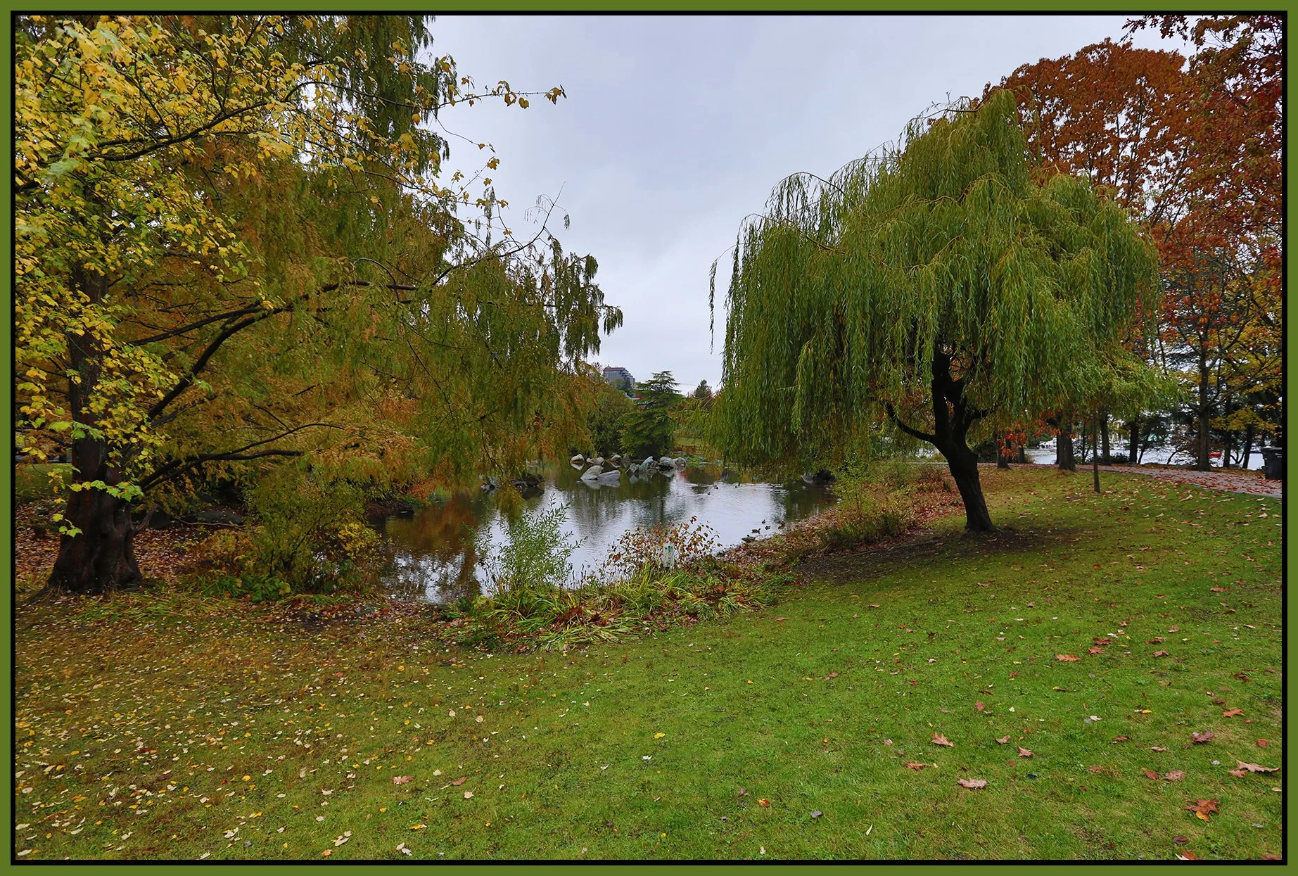Charleson Pond_Nov 4_2022_HDR_5C4681_4x6s.jpg
