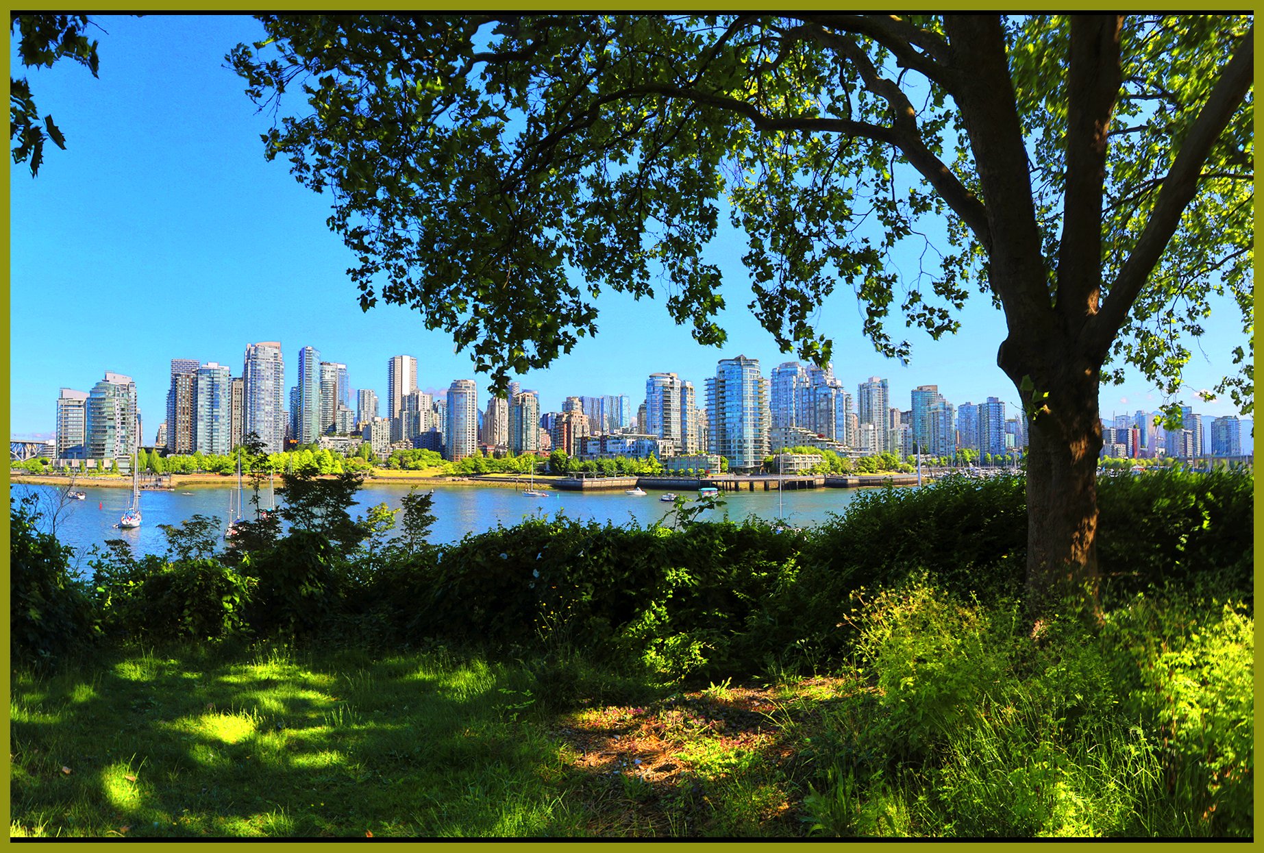 Vancouver from False Creek_Jun 12_2026_HDR_Pan_4L5043_1_peWater_4x13s.jpg