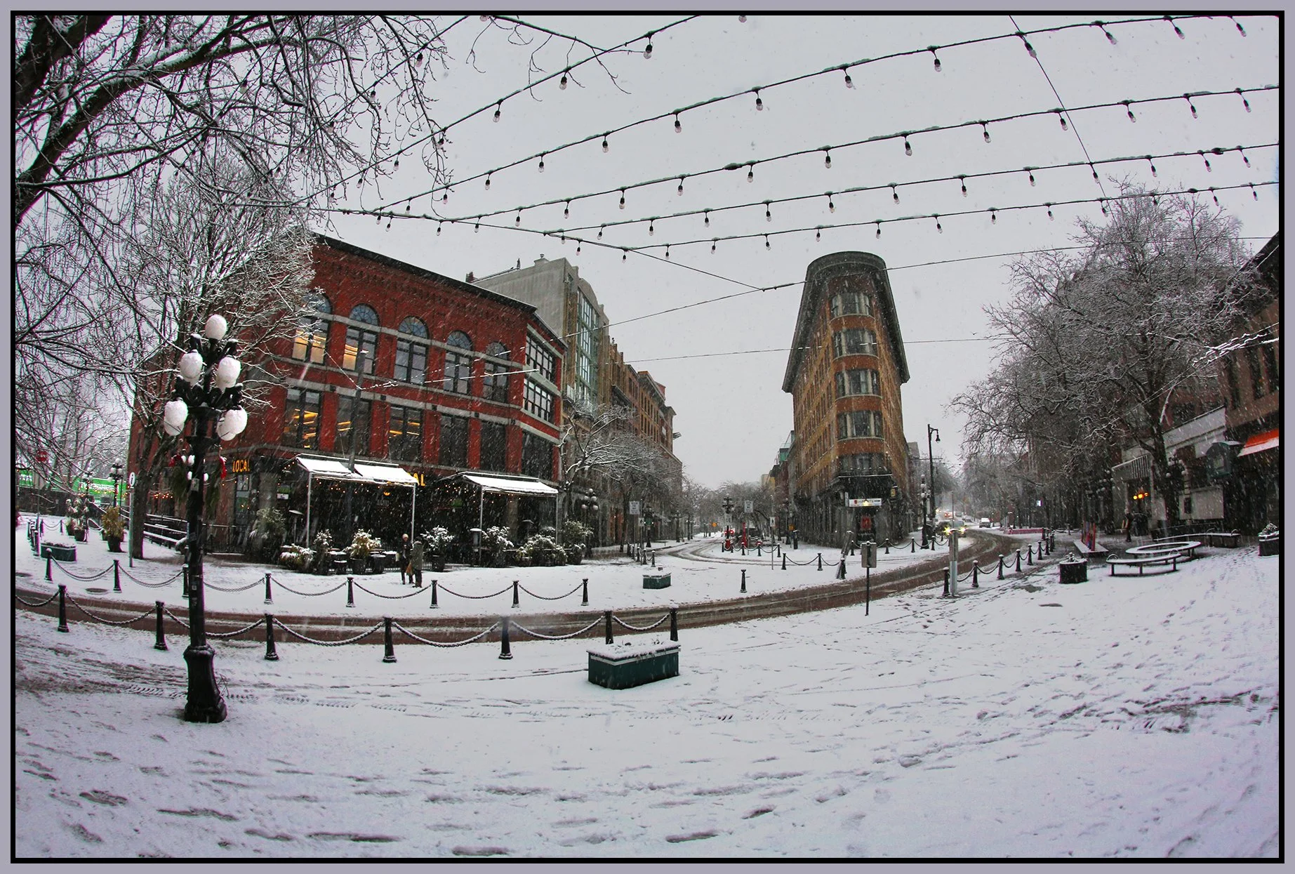 Gastown Maple Tree Sq LkgE_Feb 2_2025_HDR_3B9829_4x6s.jpg