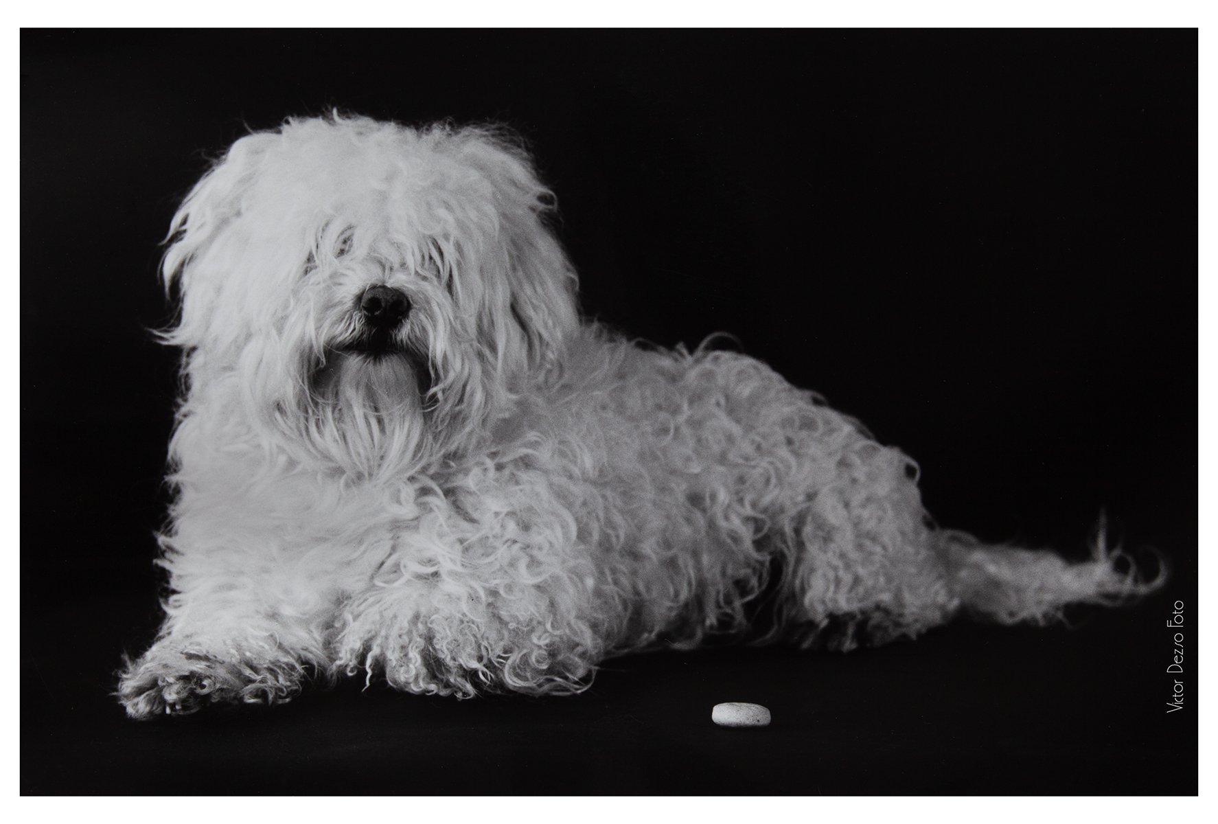 Lemmy 1970's_1807_4x6.jpg