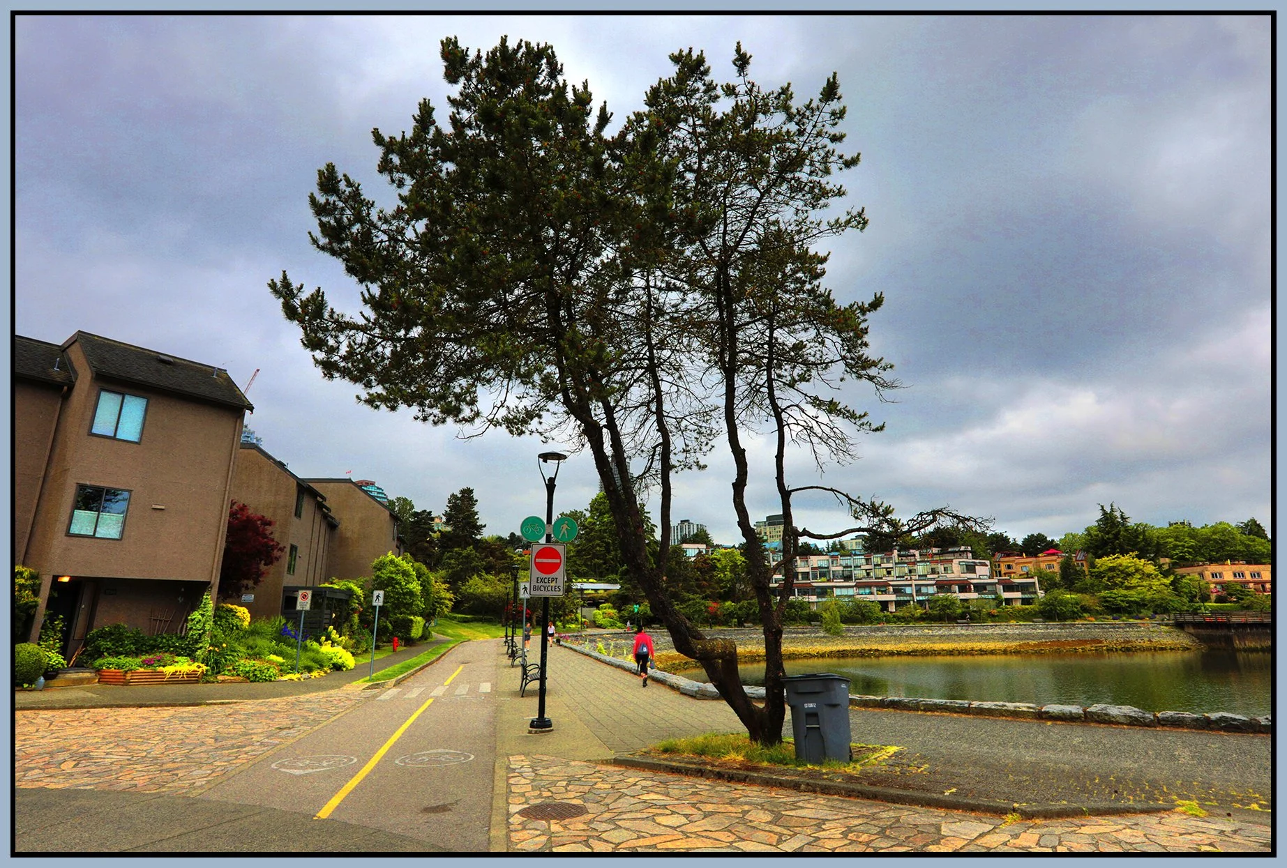 1.2 View False creek Tree LkgS_Jun 4_2025_HDR_5F3767_peVbrntClrs_4x6s.jpg