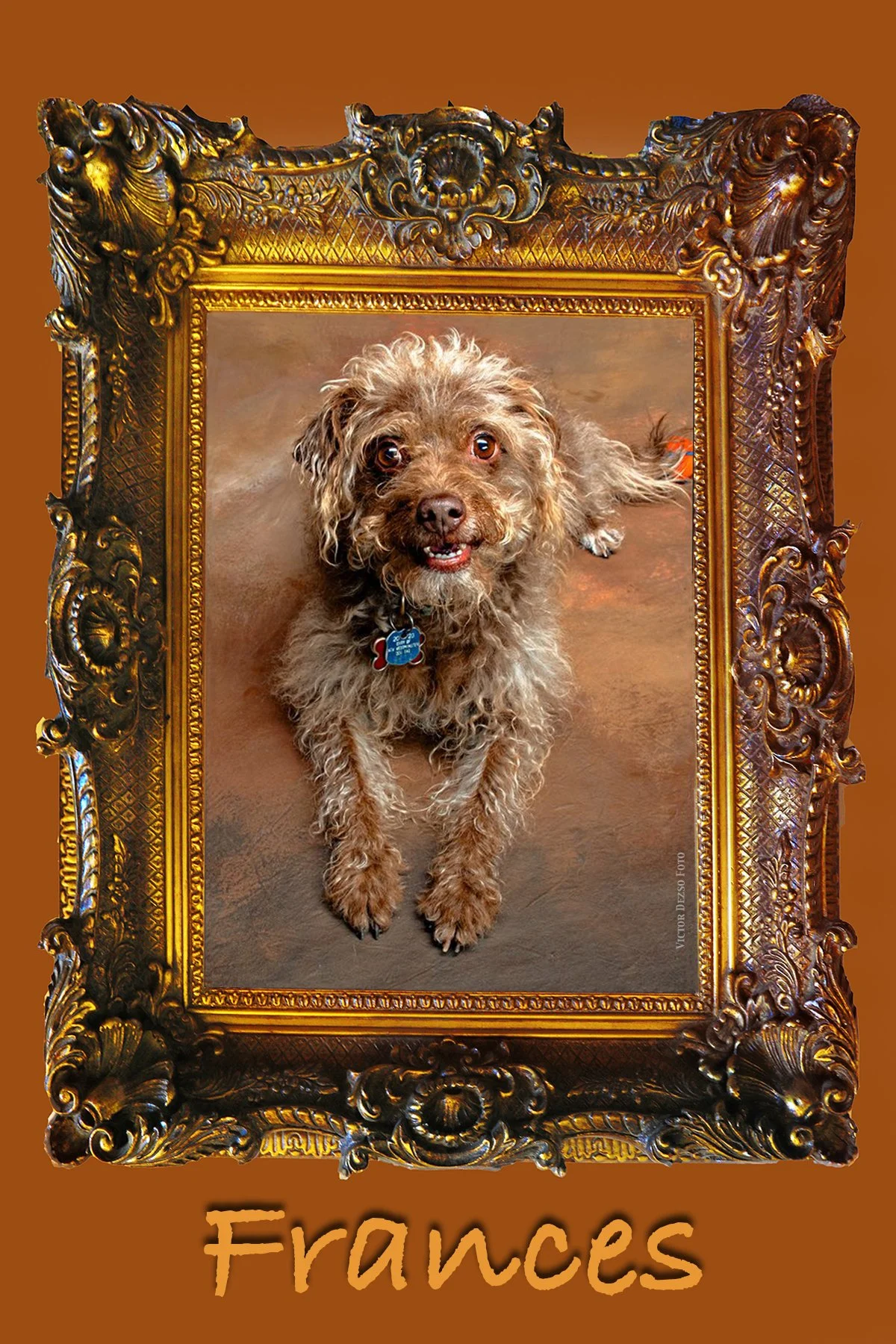 Frances 2024 4.2_4x6.jpg