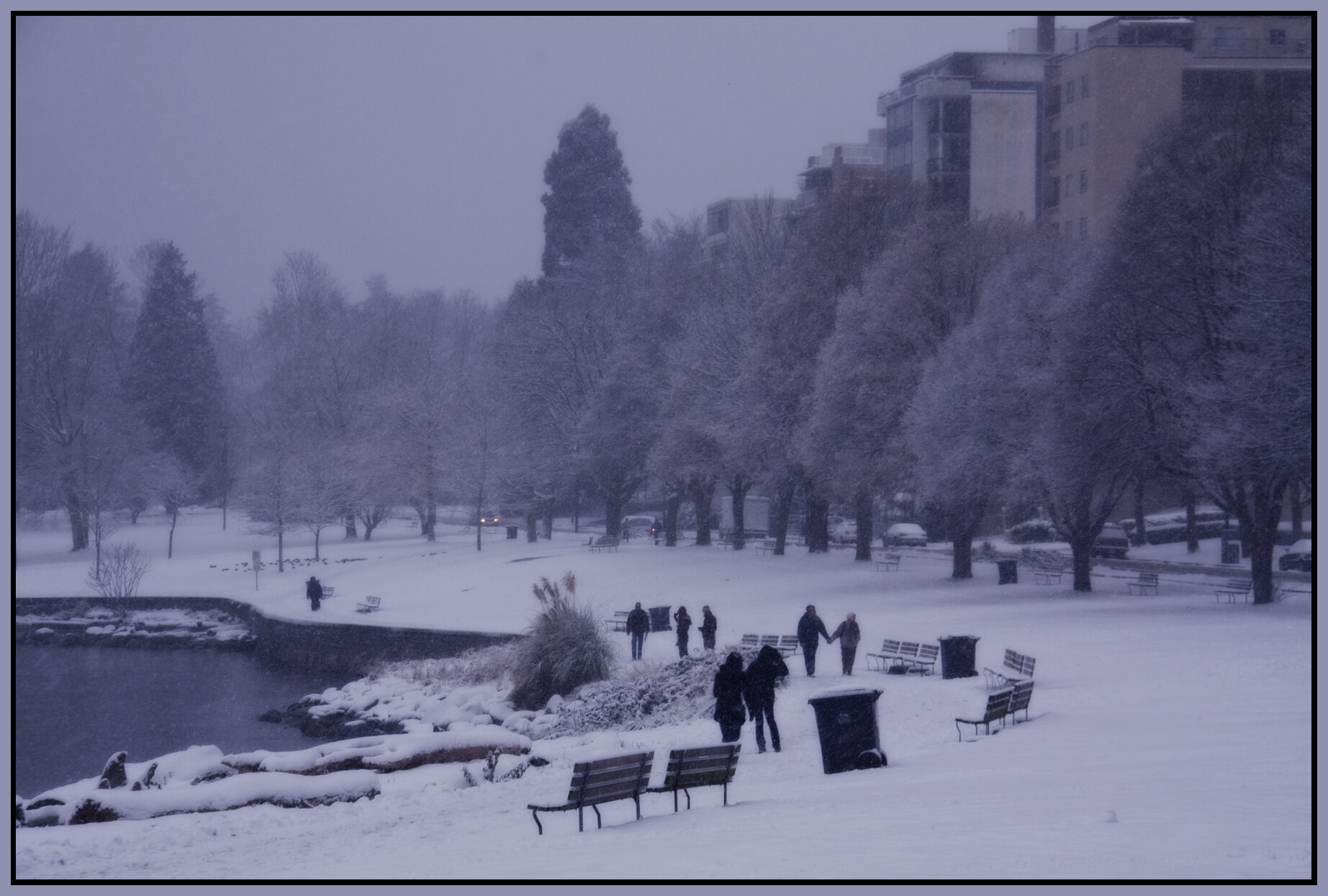 English Bay_Dec 17_08_0590vb_4x6s.jpg