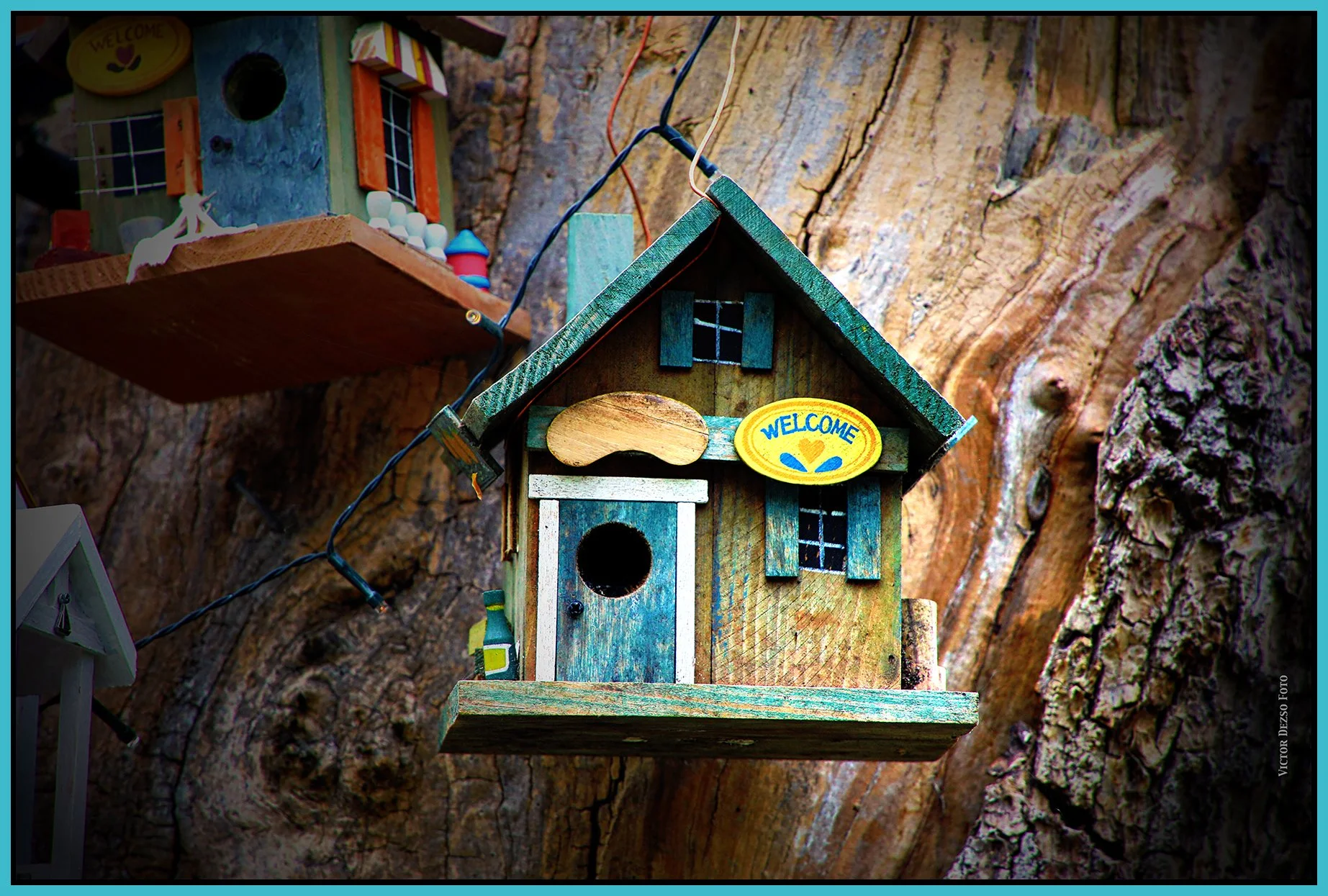 580 Heatley St Tree House_May 5_2024_HDR_4H7621_peHyprstrip_VigDrkTones_PopDrkn_4x6s.jpg