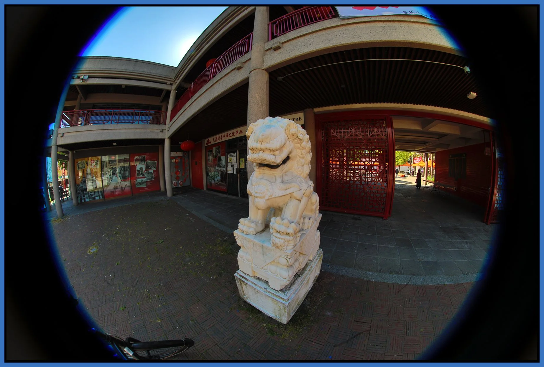 Chinatown Lion Art_Jul 1_2025_HDR_5F5003_4x6s.jpg