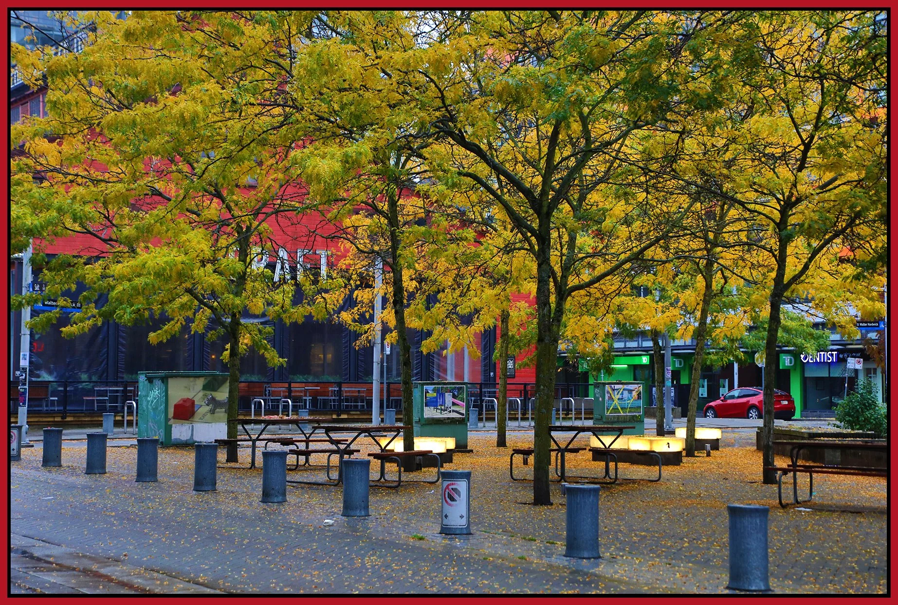 The Village Trees_Oct 14_2024_HDR_4J4316_4x6s.jpg