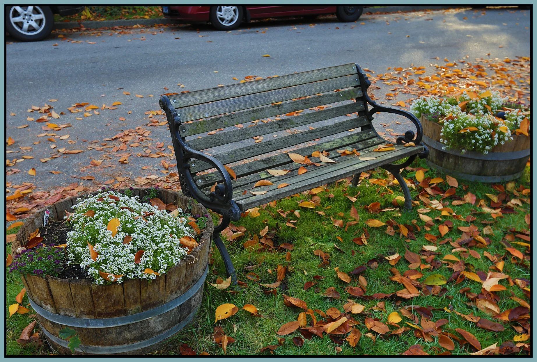 Bench_Nov 3_2019_HDR_F1280_4x6s.jpg