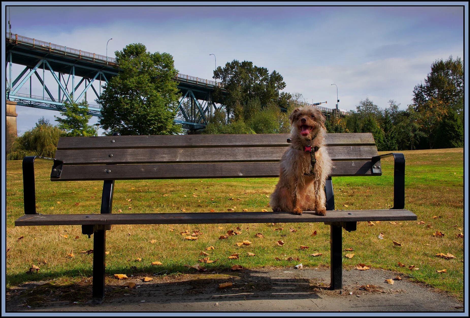 Frances at Brownsville_Sep 21_2020_CR2_4G4177_peLd_4x6s.jpg