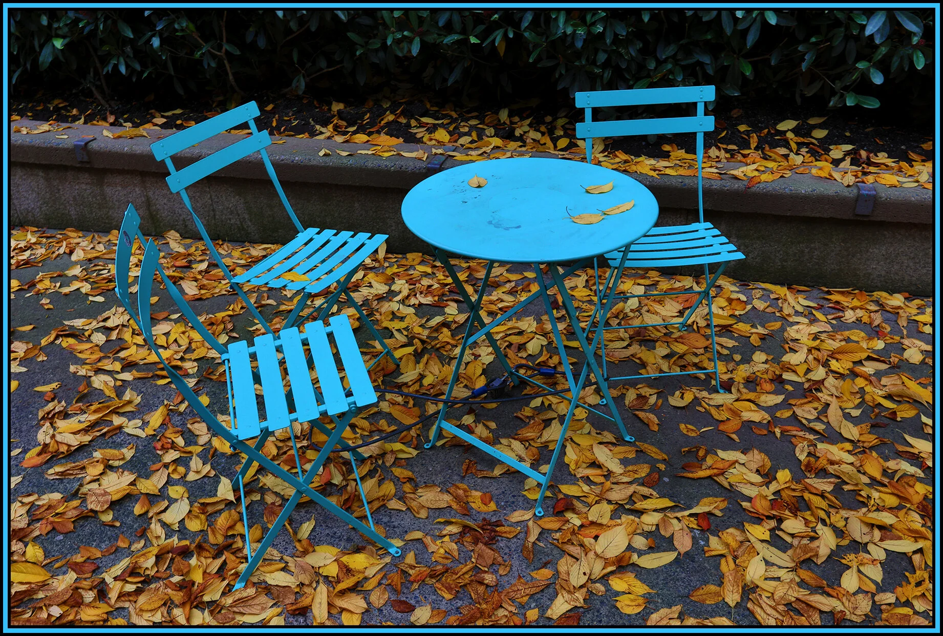 Seating in Lot 19_Nov 7_2020_HDR_4G3096_4x6s.jpg