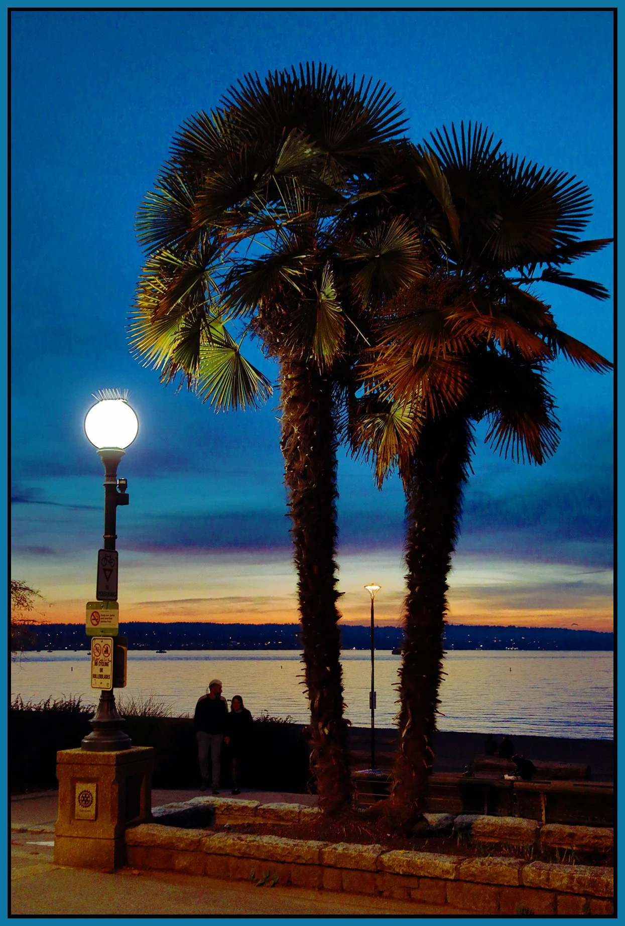English Bay Palms_Oct 8_2026_HDR_5F6725_pePop_4x6s.jpg