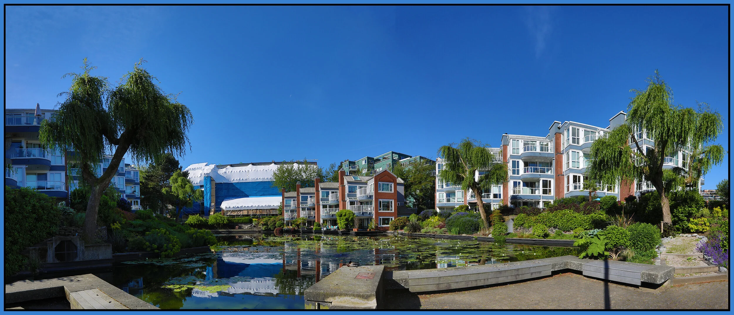 Island Walk Trees_Jun 2_2021_HDR_Pan_5A6753_4x9s.jpg