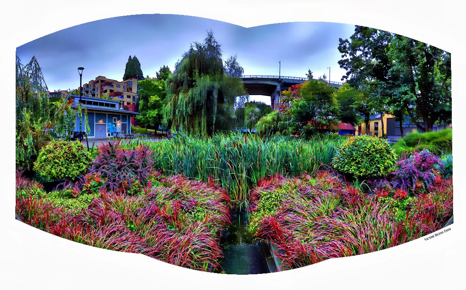 Granville Island Plants_Sep 11_2024_HDR_Pan_4J3654_peHdr2013_1_4x6.jpg