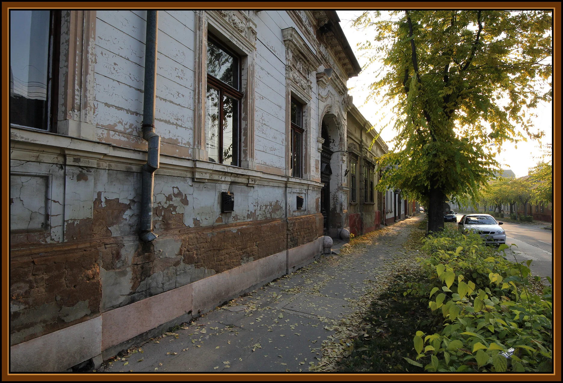 Vác_Nov 7_2011_1317_4x6s.jpg