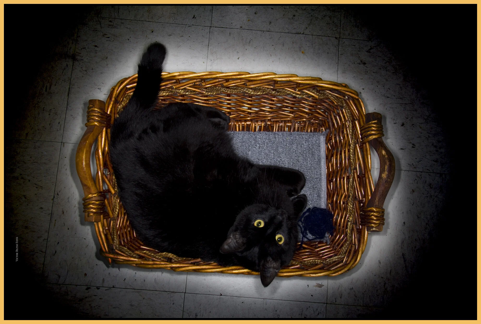 CC_Mar 1 2009_0727_4x6s.jpg