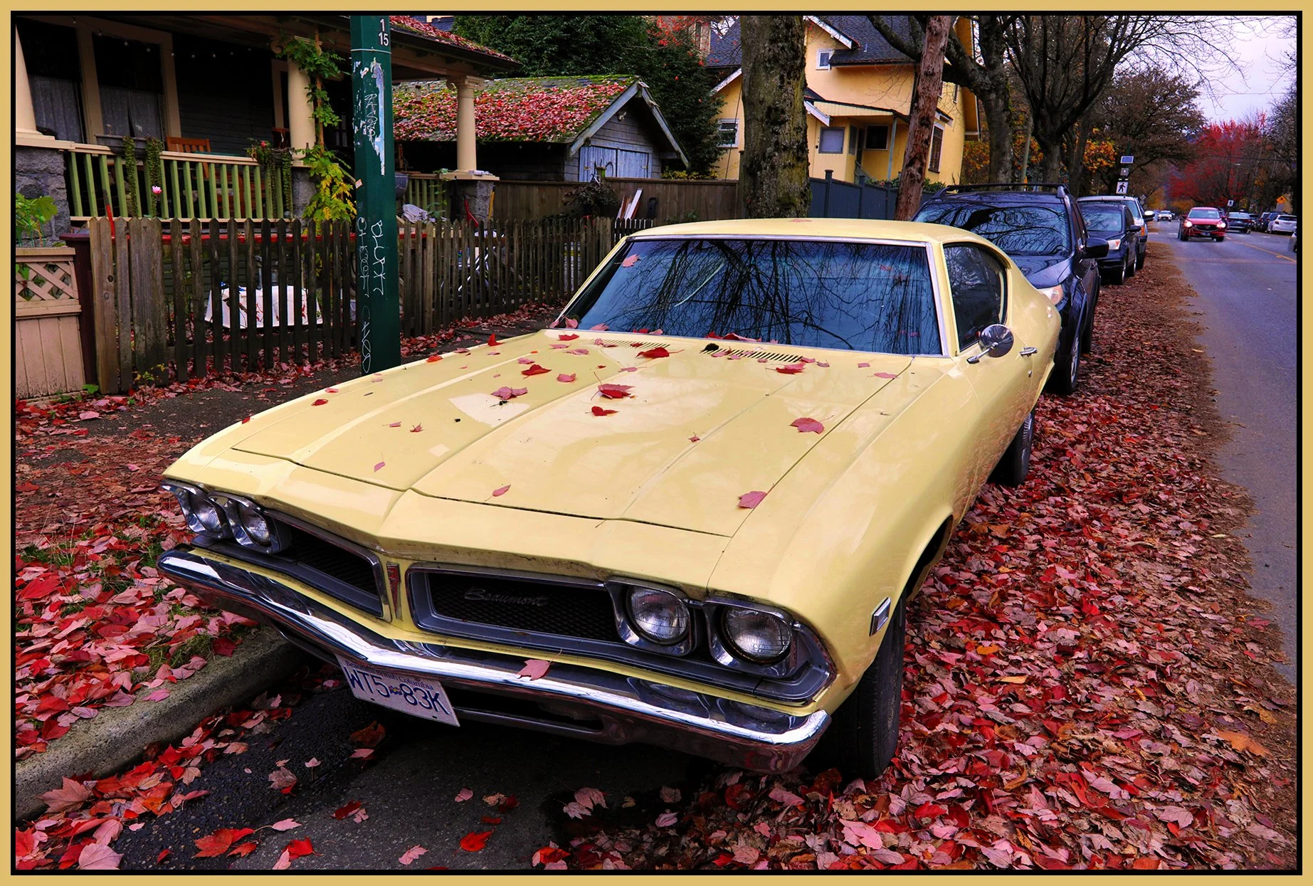 Pontiac Beaumont 1969_Nov 12_2025_HDR_4K5227_peHyperstrip_4x6s.jpg